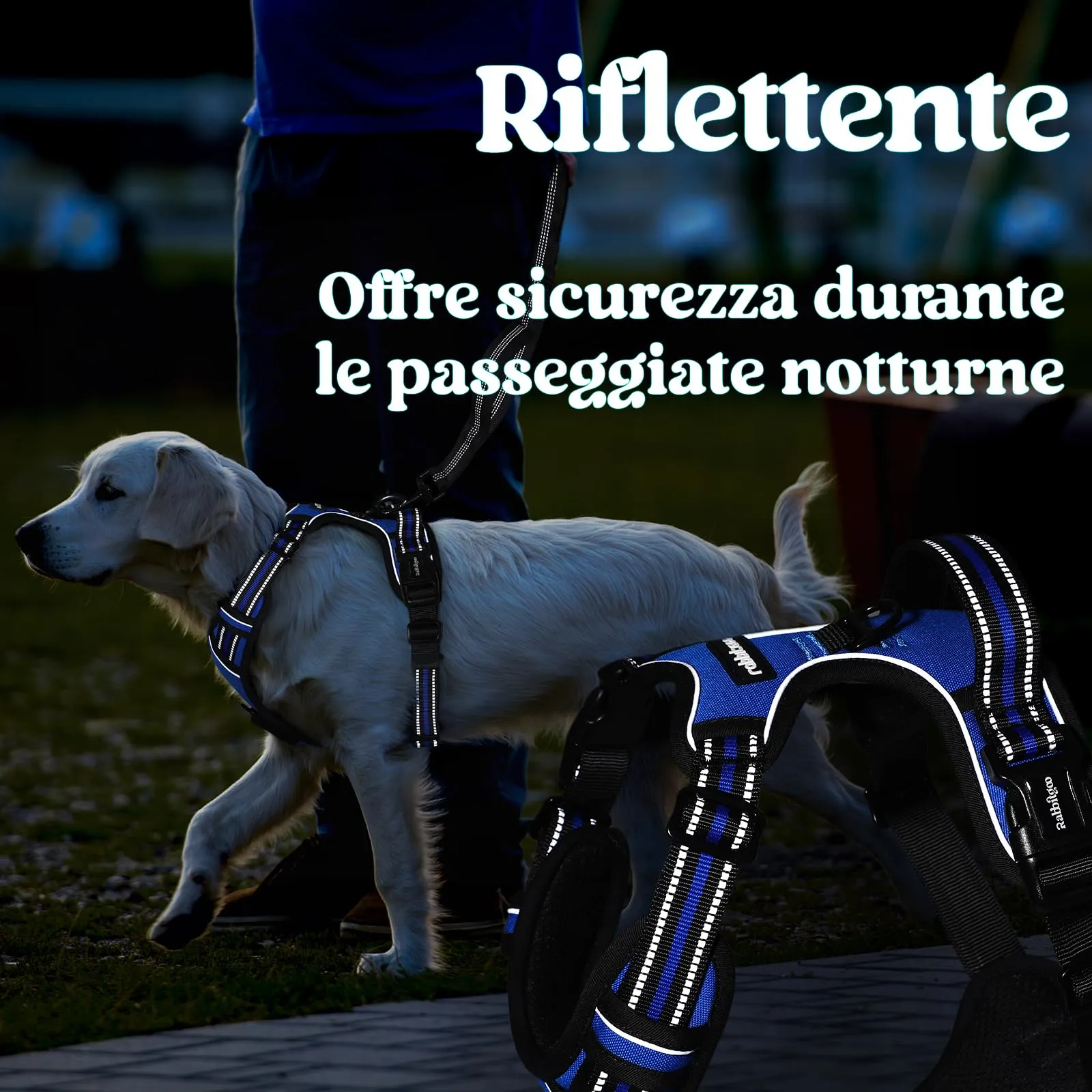 rabbitgoo Pettorina Cane Antifuga ad H con Maniglia e Bande Riflettenti, Blu, XL - immagine 9
