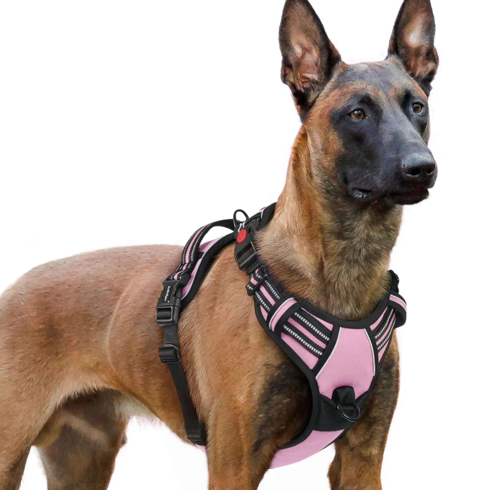 rabbitgoo Pettorina Cane Antifuga ad H con Maniglia e Bande Riflettenti, Rosa, XL - immagine 1