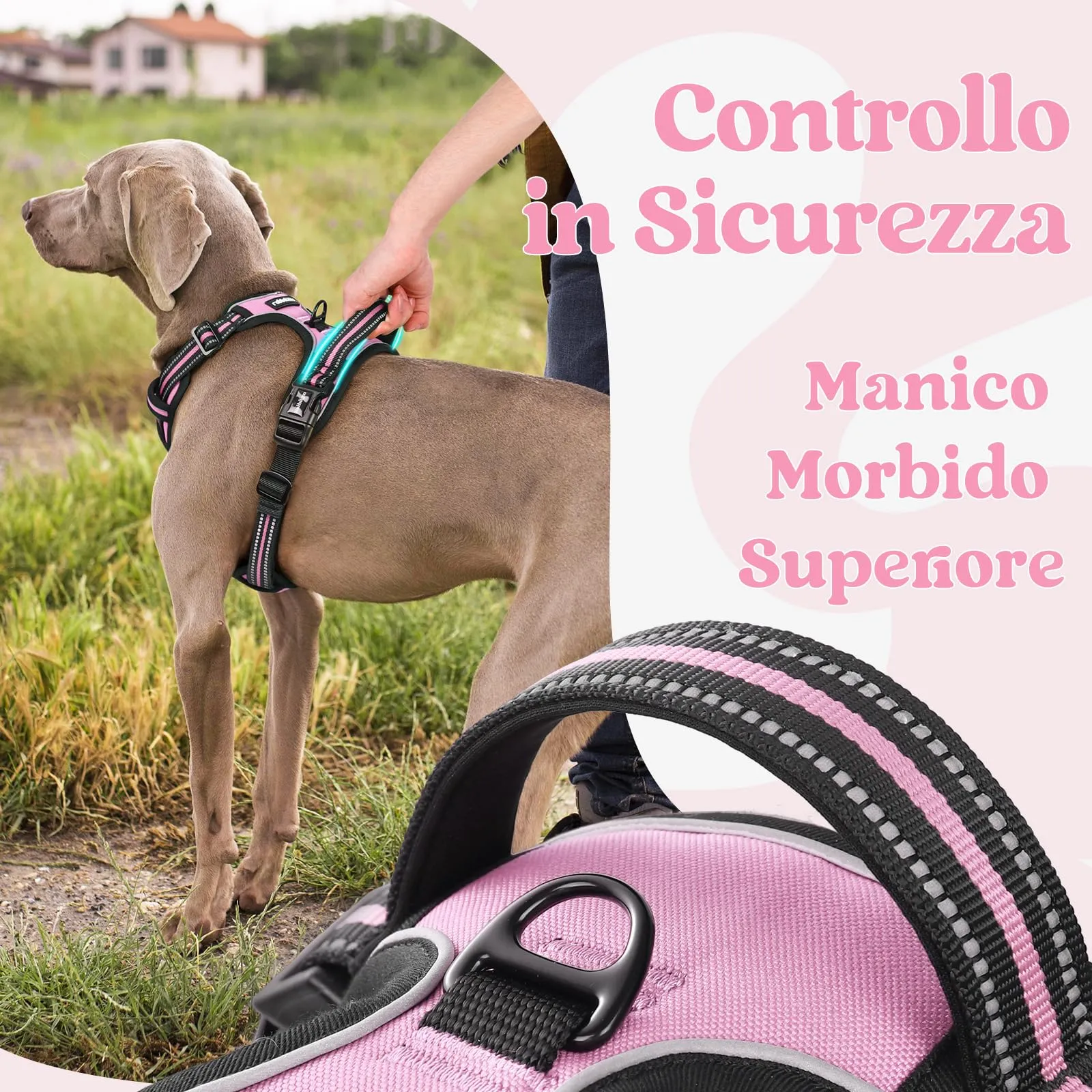 rabbitgoo Pettorina Cane Antifuga ad H con Maniglia e Bande Riflettenti, Rosa, XL - immagine 5