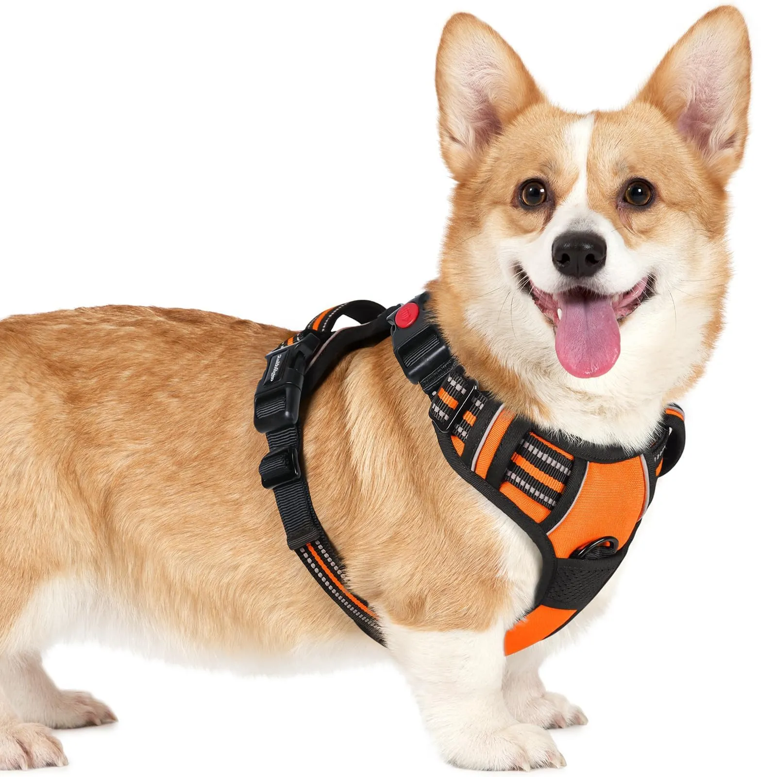 rabbitgoo Pettorina Cane Antifuga ad H con Maniglia e Bande Riflettenti, Arancio, S - immagine 1