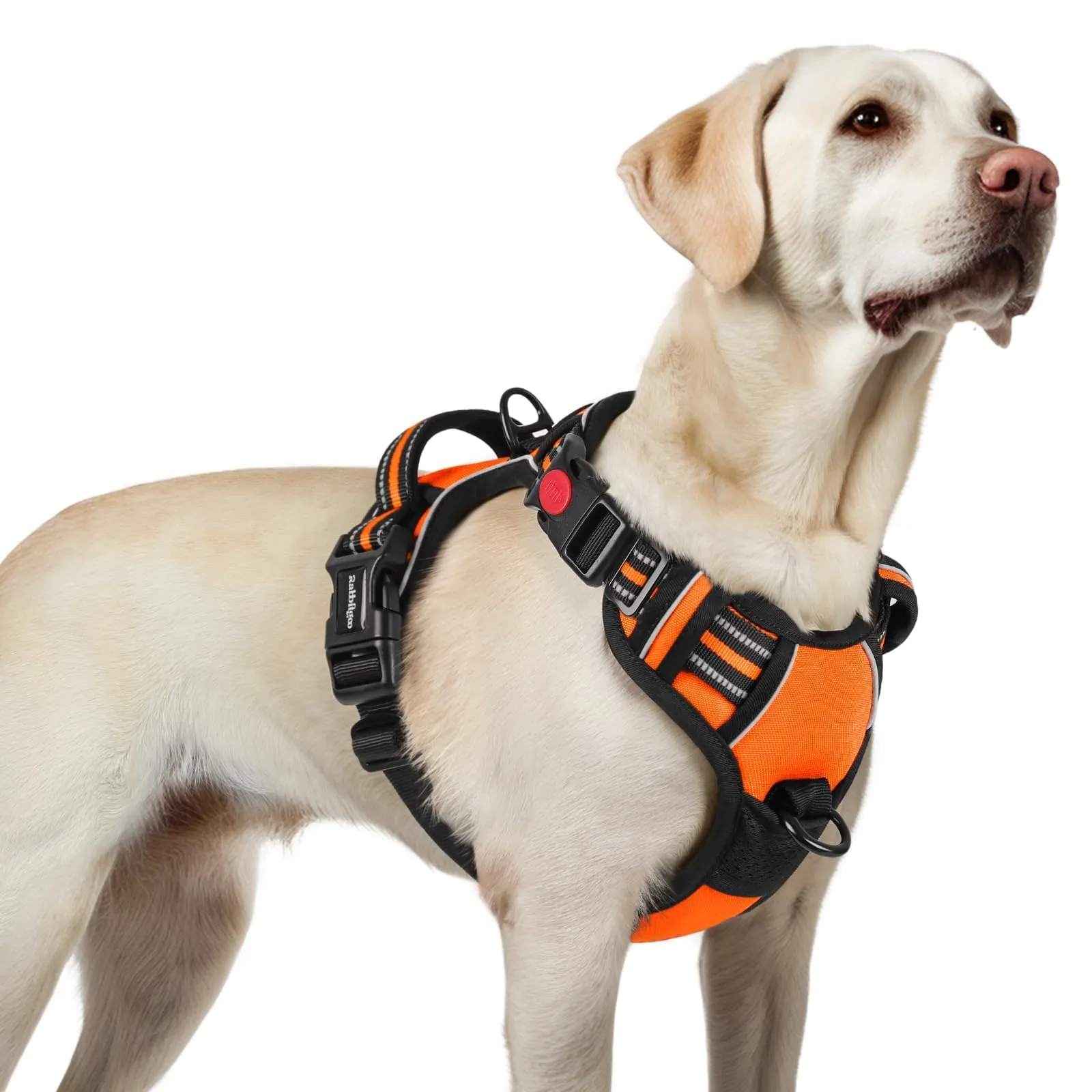 rabbitgoo Pettorina Cane Antifuga ad H, Arancio, L - immagine 1