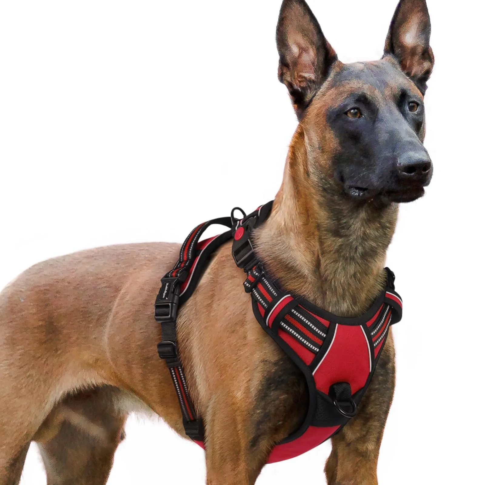 rabbitgoo Pettorina Cane Antifuga ad H, Rossa, XL - immagine 1