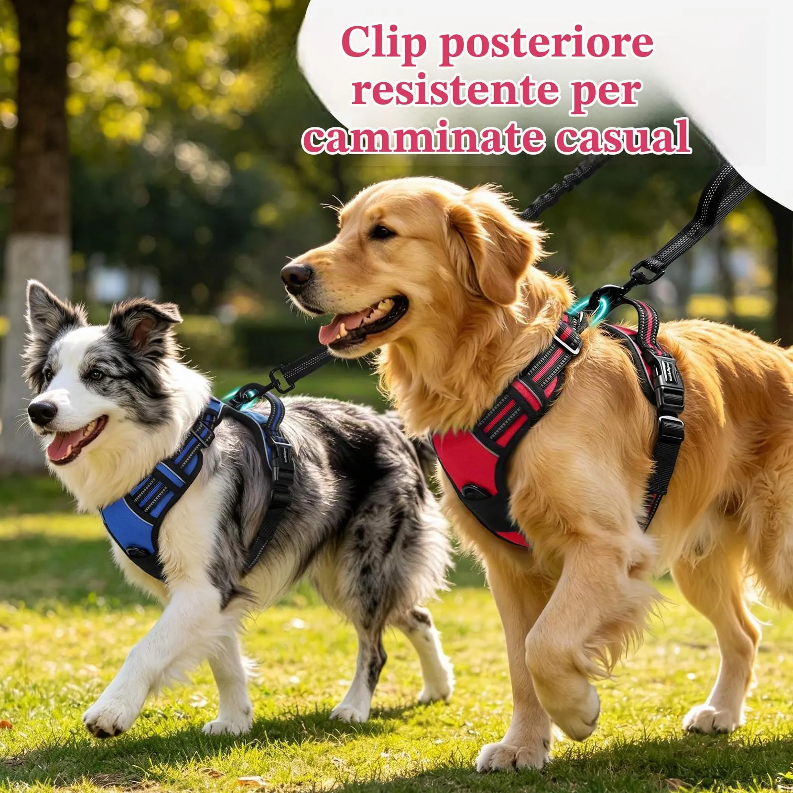 rabbitgoo Pettorina Cane Antifuga ad H, Rossa, XL - immagine 5