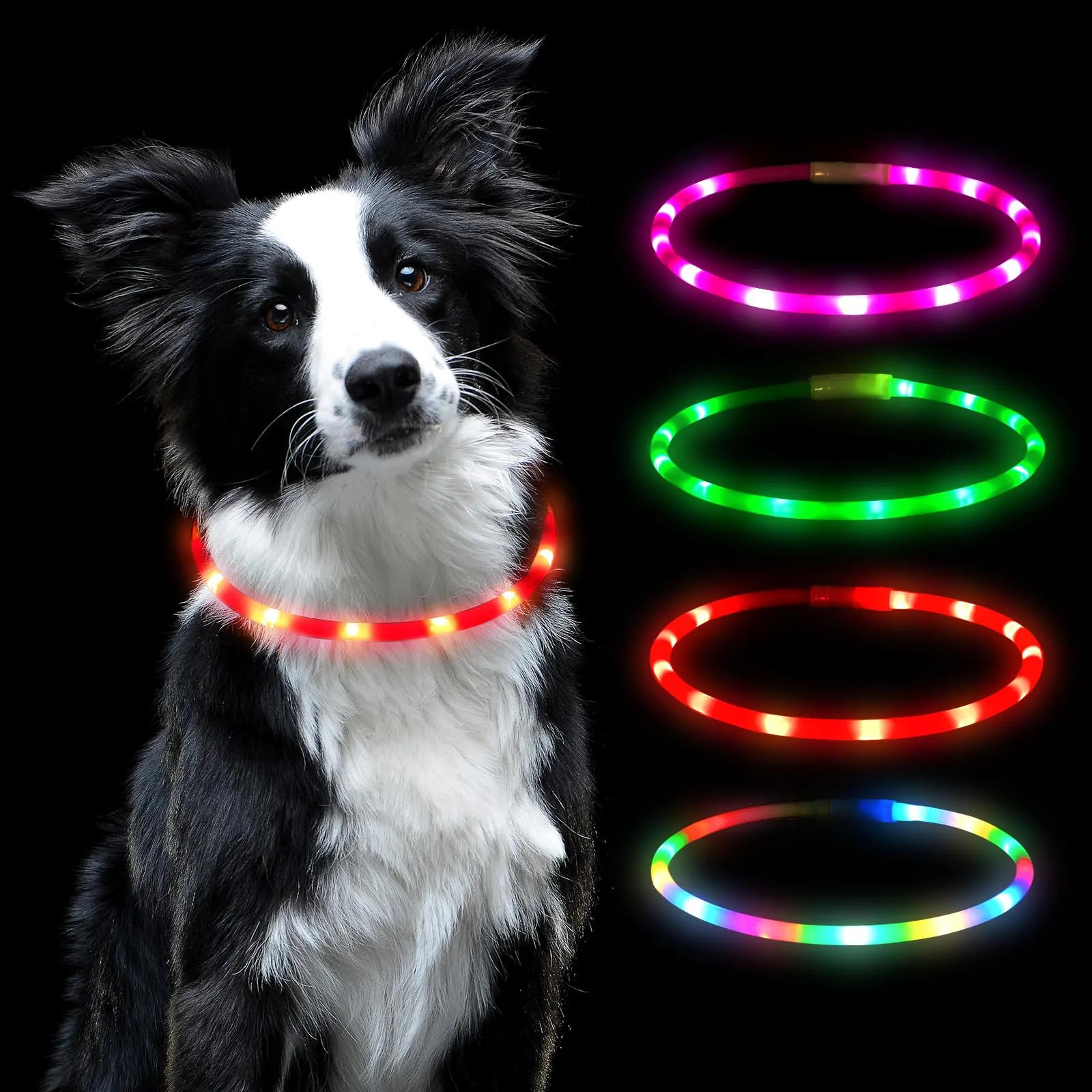 AUAUY Collare Luminoso per Cani LED Ricaricabile USB Regolabile, Rosso - immagine 1
