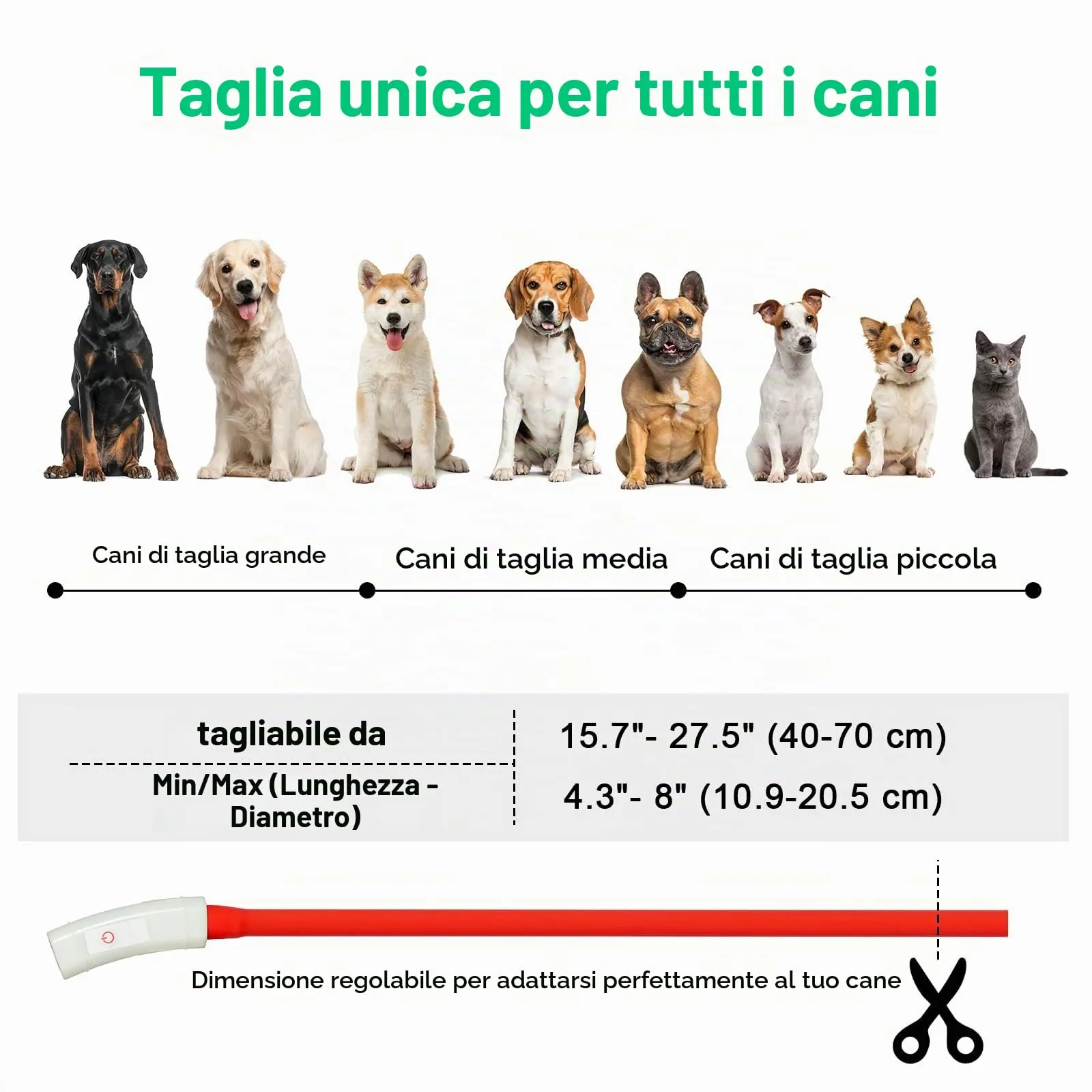 AUAUY Collare Luminoso per Cani LED Ricaricabile USB Regolabile, Rosso - immagine 3