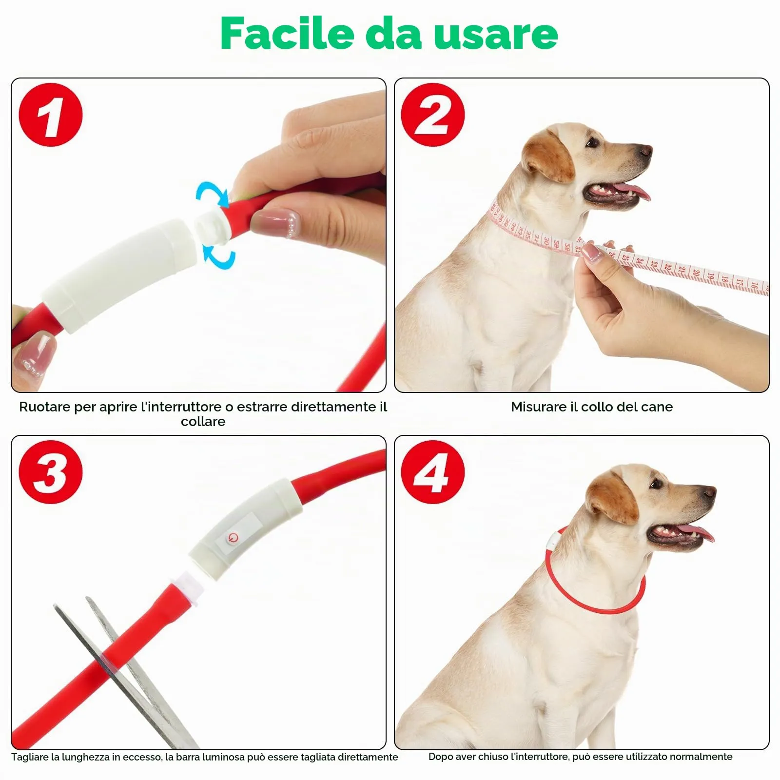 AUAUY Collare Luminoso per Cani LED Ricaricabile USB Regolabile, Rosso - immagine 4