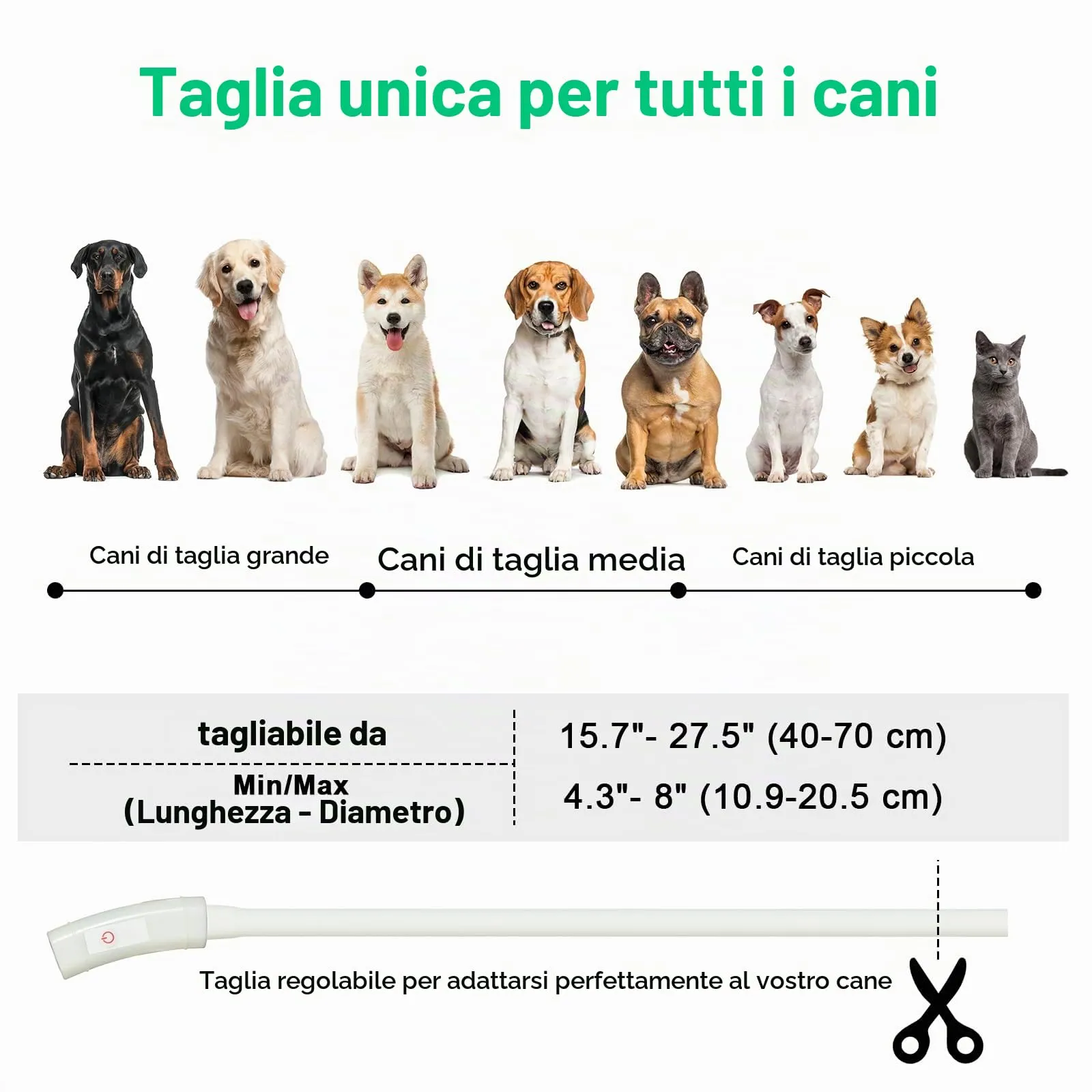 AUAUY Collare Luminoso per Cani LED Ricaricabile USB Regolabile Colorato - immagine 4