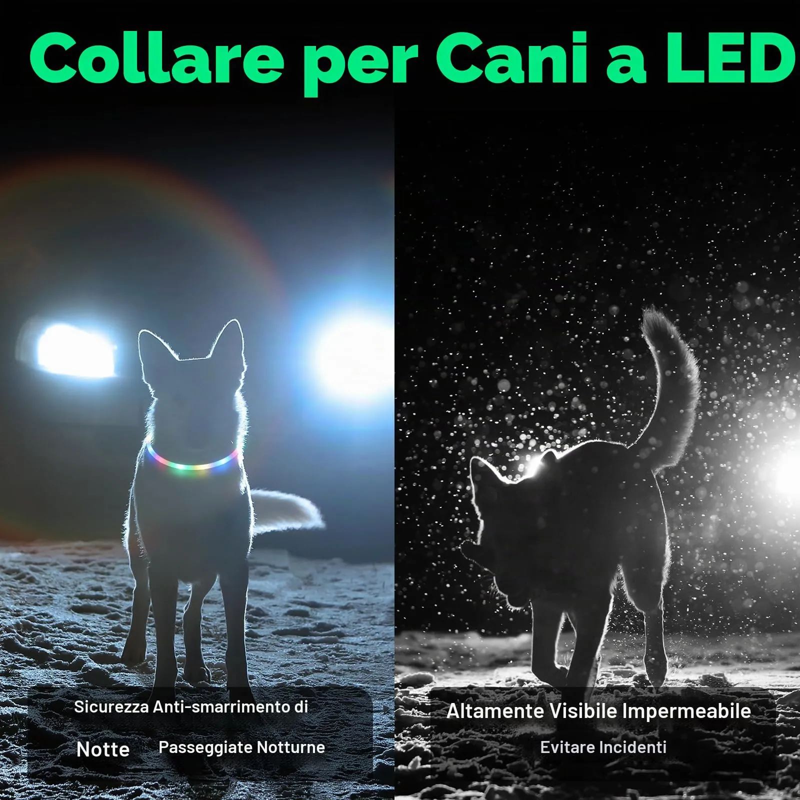 AUAUY Collare Luminoso per Cani LED Ricaricabile USB Regolabile Colorato - immagine 7