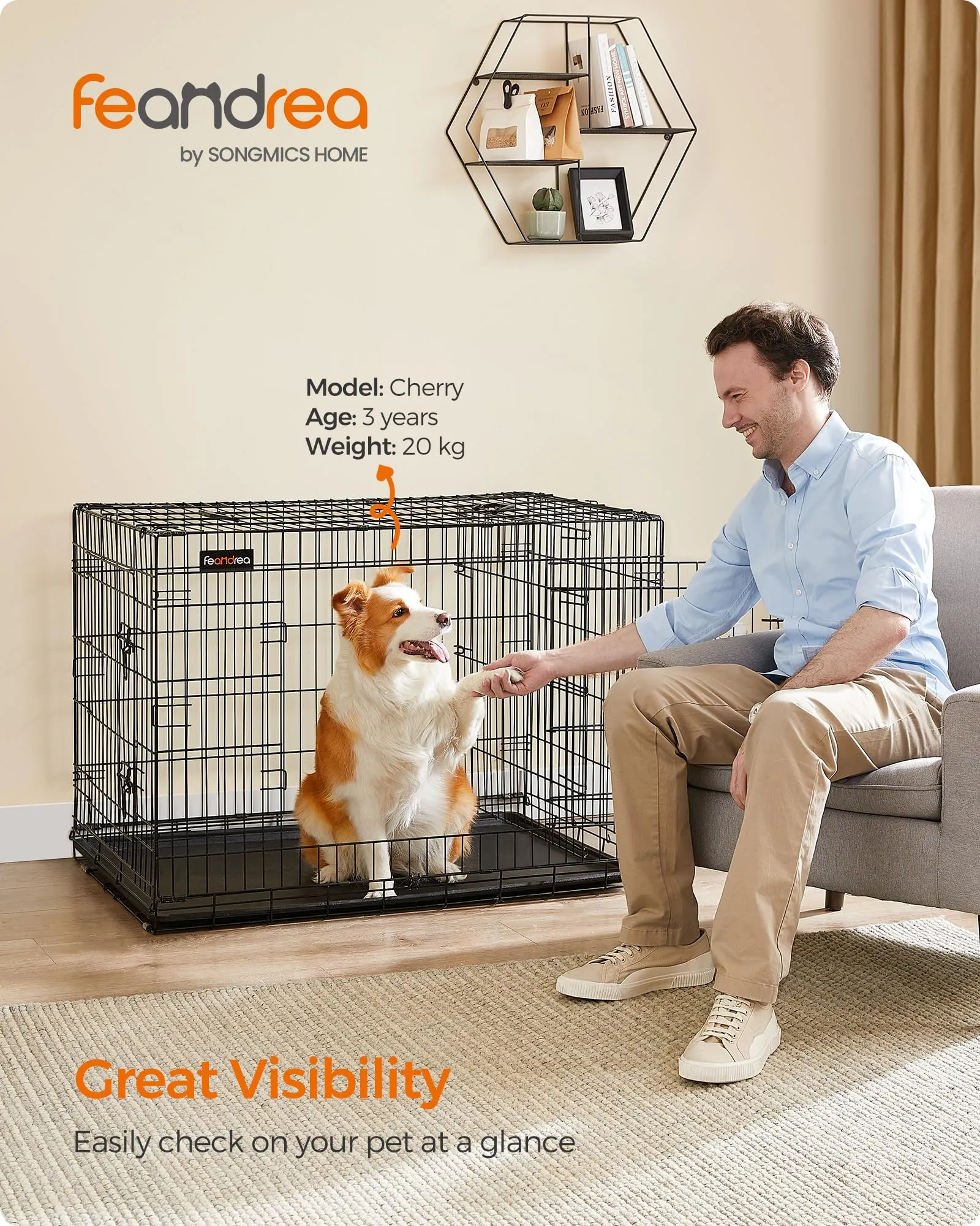 Feandrea Gabbia per Cani Pieghevole con 2 Porte, Divisorio e Vassoio Rimovibile, 107 x 70 x 77,5 cm, XL, Nero PPD42BK - immagine 2