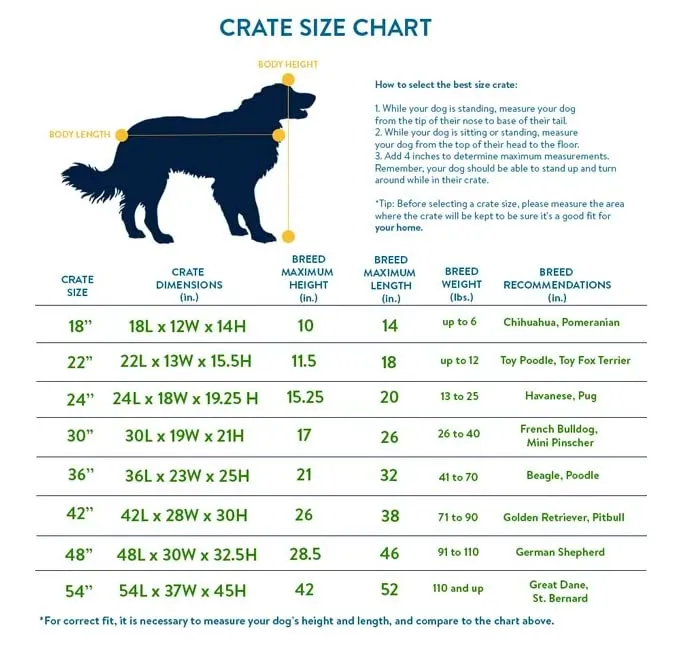 New World Gabbia per cani a doppia porta pieghevole in metallo 61 cm con vaschetta a prova di perdite - immagine 3