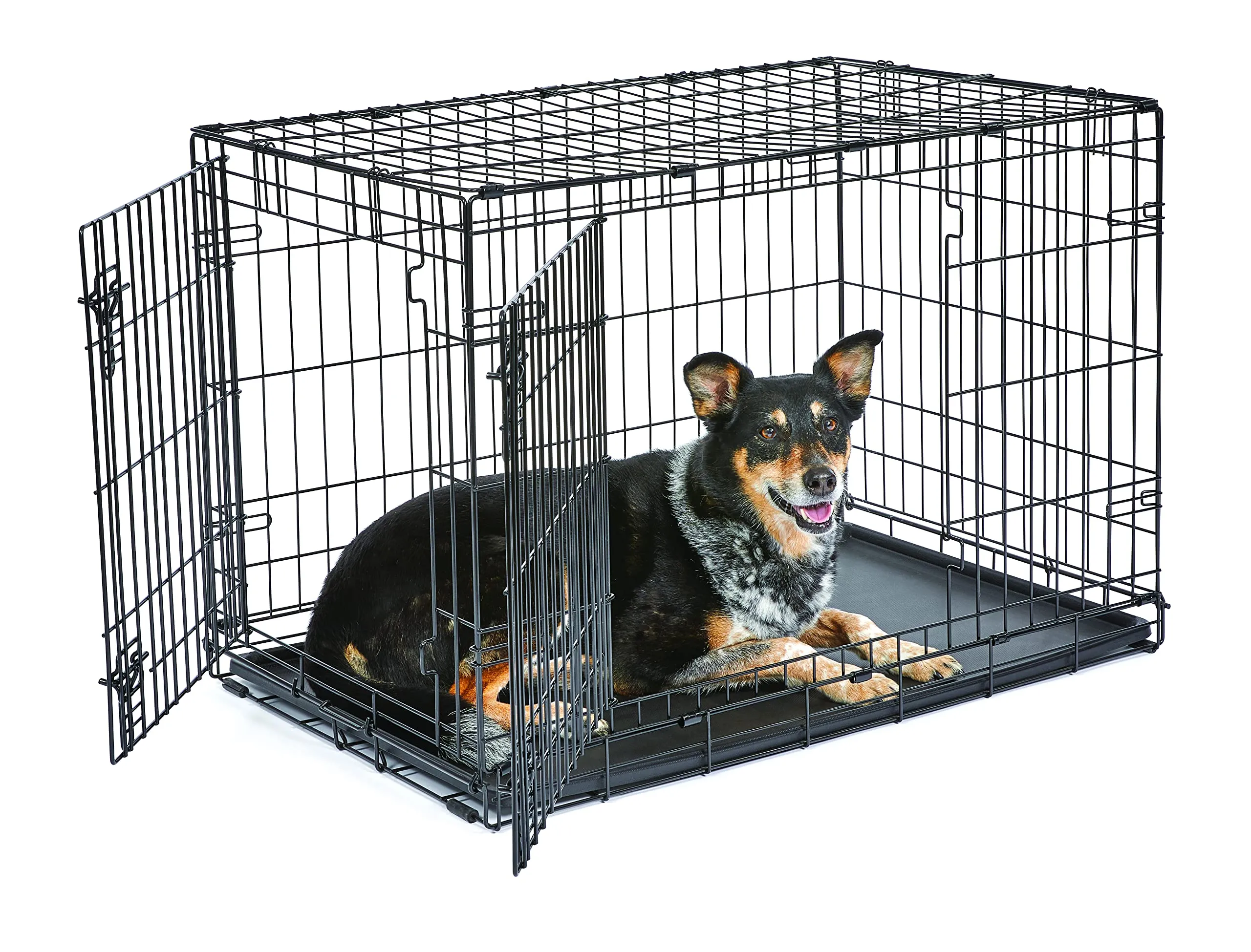 New World Gabbia per cani in metallo pieghevole con porta doppia, 91 cm, con vaschetta a prova di perdite - immagine 1