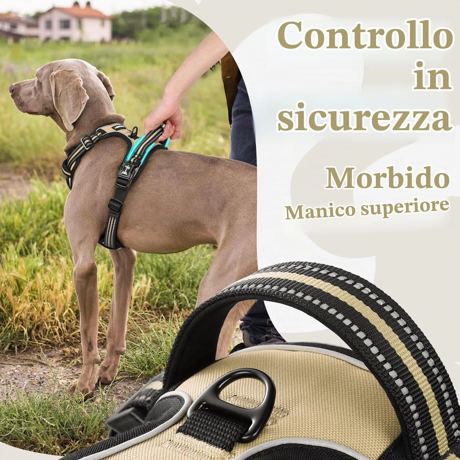 rabbitgoo Pettorina Cane Antifuga ad H con Maniglia e Bande Riflettenti, Cachi, XL - immagine 5