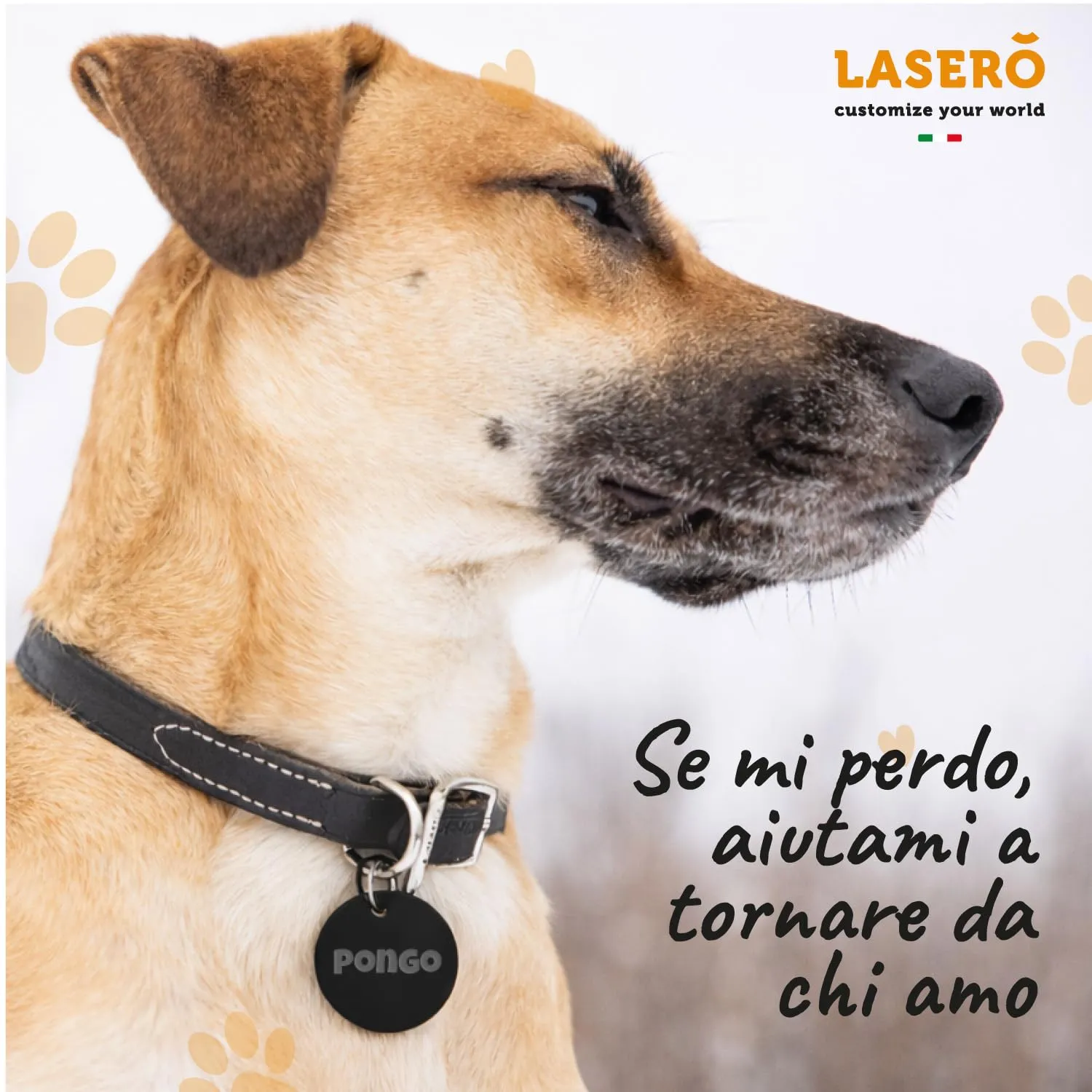 LASERO' Medaglietta Cane e Gatto Personalizzata Tonda in Acciaio, 3 Colori (Nero, Argento, Oro) - immagine 5