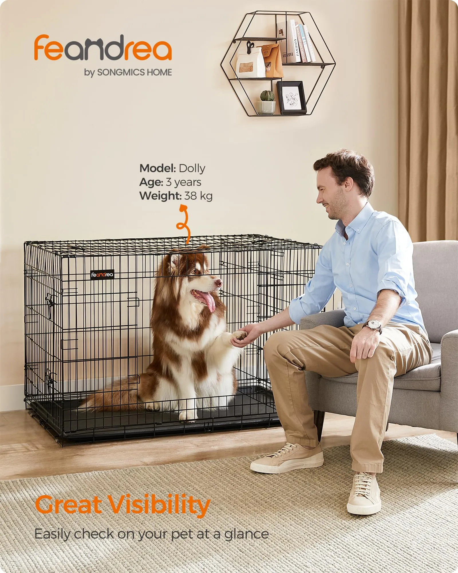 Feandrea Gabbia per Cani Pieghevole con 2 Porte, Divisorio e Vassoio Rimovibile, 122 x 74,5 x 80,5 cm, XXL, Nero PPD48BK - immagine 2