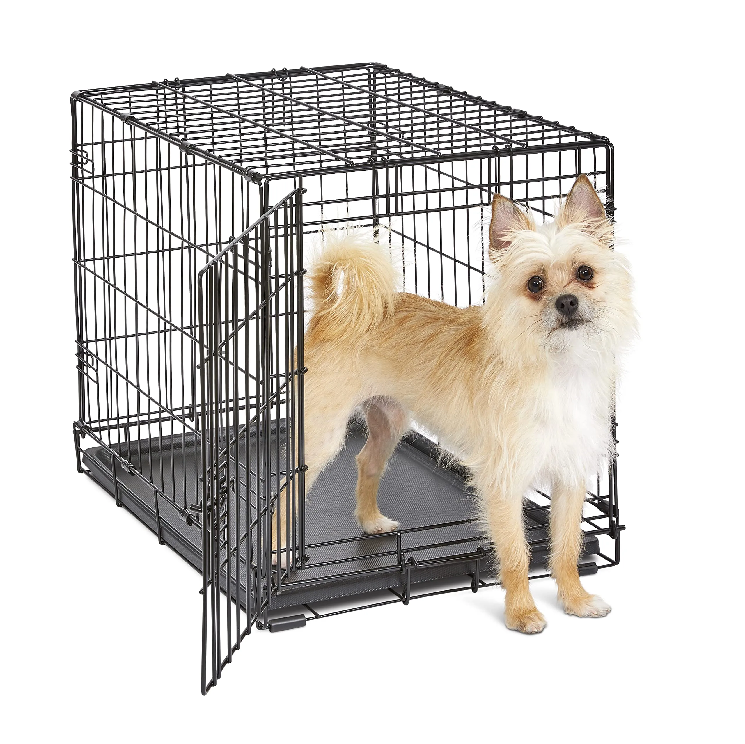 New World Gabbia per cani pieghevole in metallo, 61 cm, con vaschetta a prova di perdite, per cani di piccola taglia - immagine 1