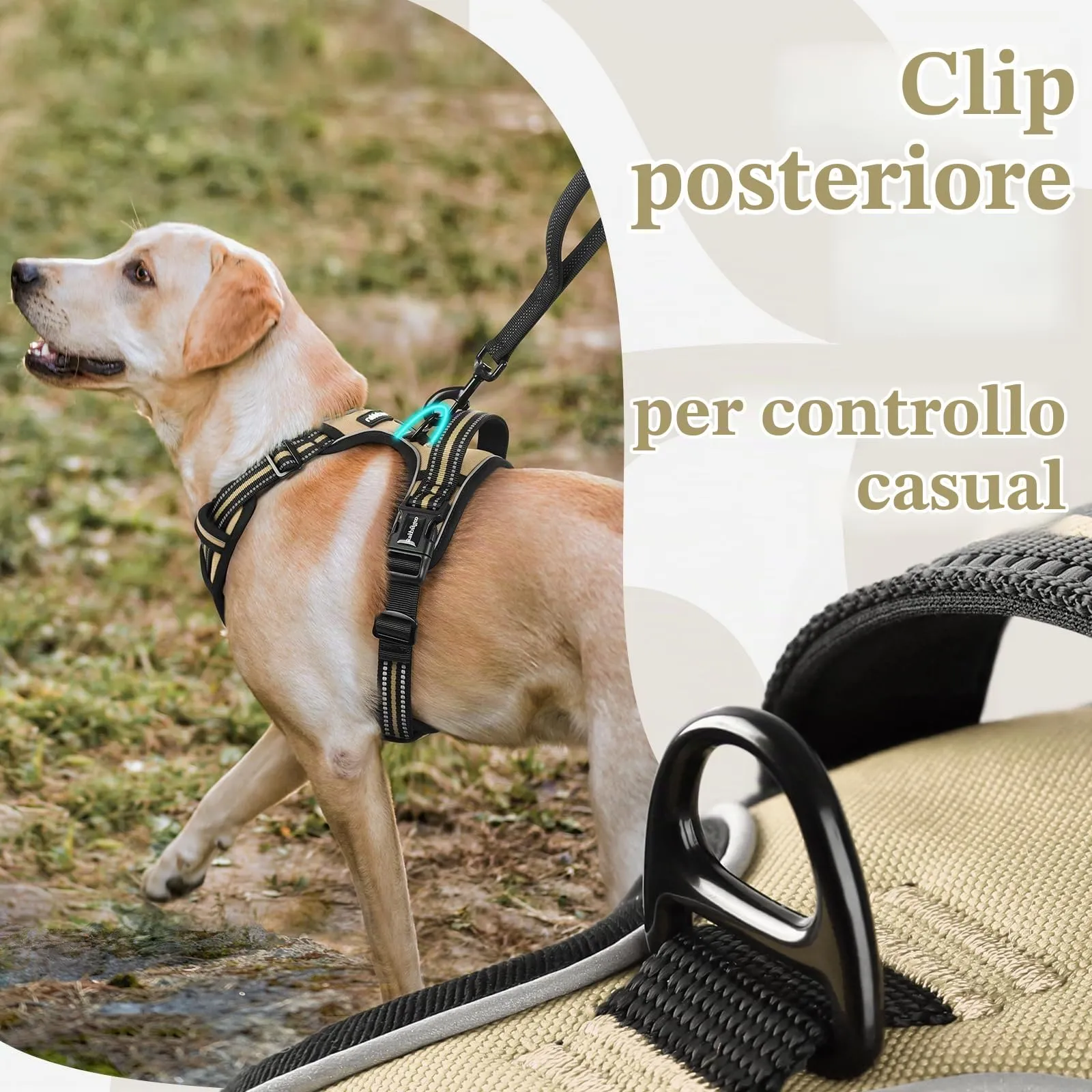 rabbitgoo Pettorina Cane Antifuga ad H con Maniglia e Bande Riflettenti, Cachi, S - immagine 6