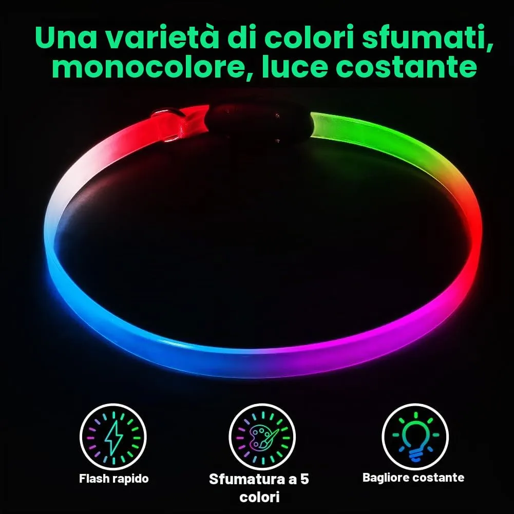 AUAUY Collare Luminoso per Cani, Ricaricabile USB, Regolabile - immagine 2