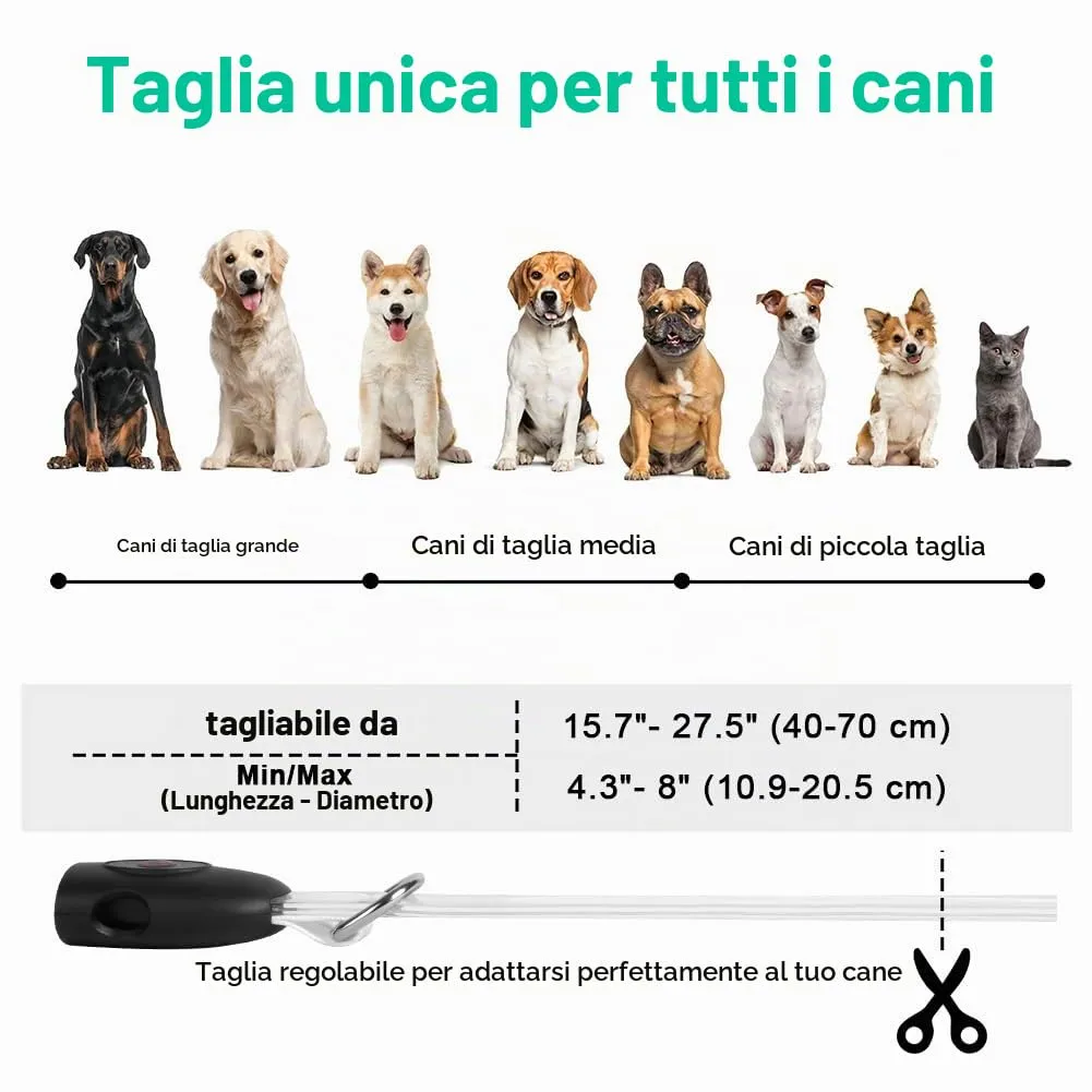 AUAUY Collare Luminoso per Cani, Ricaricabile USB, Regolabile - immagine 3