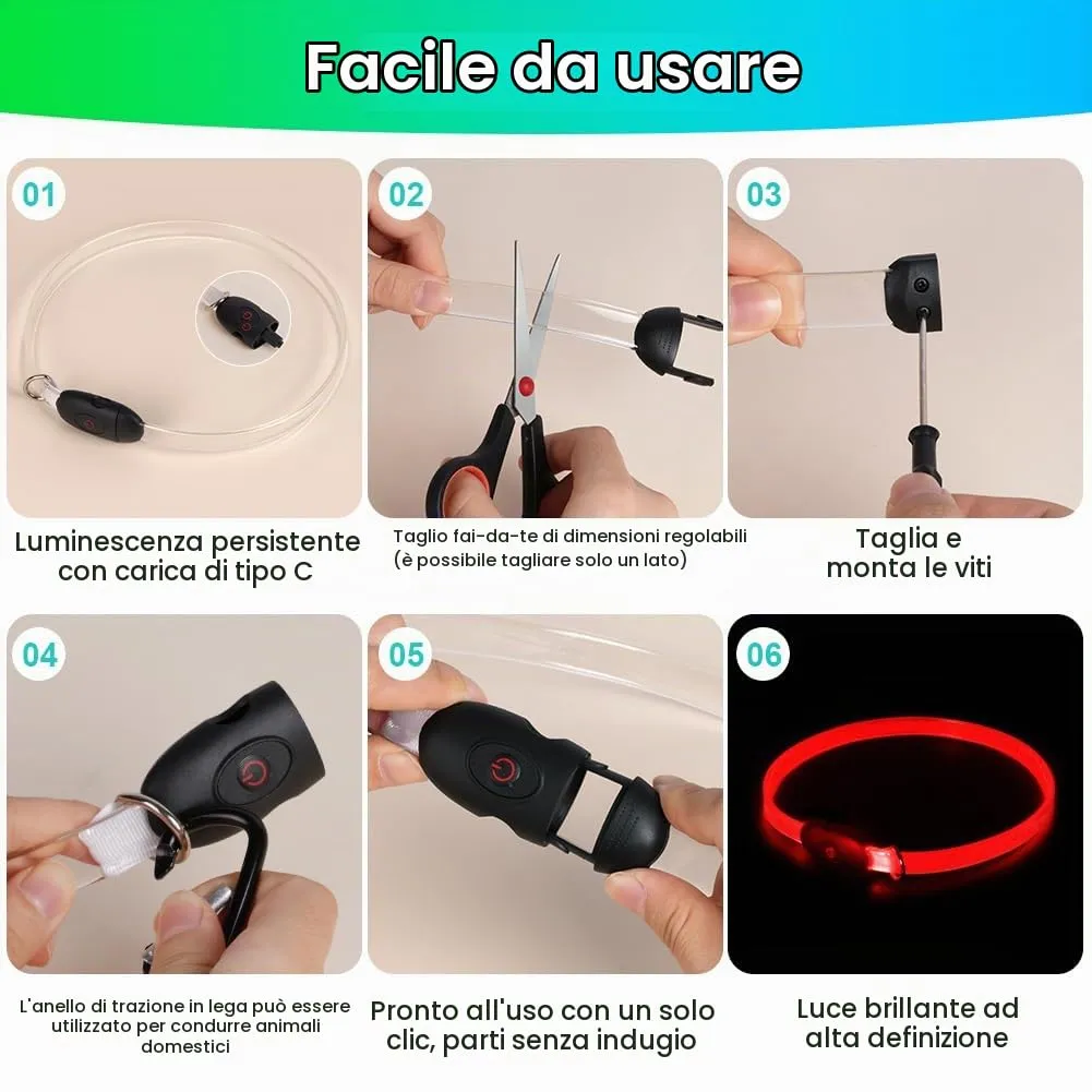 AUAUY Collare Luminoso per Cani, Ricaricabile USB, Regolabile - immagine 4