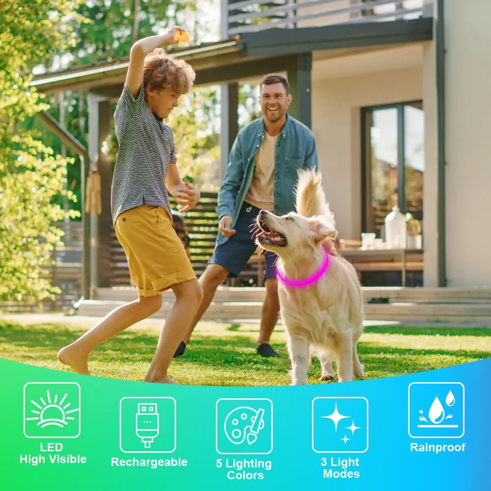 AUAUY Collare Luminoso per Cani, Ricaricabile USB, Regolabile - immagine 6