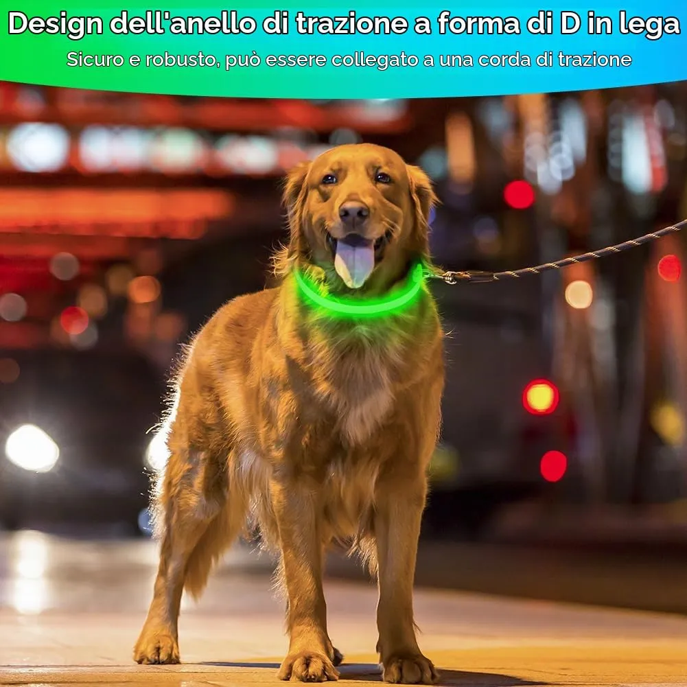 AUAUY Collare Luminoso per Cani, Ricaricabile USB, Regolabile - immagine 7