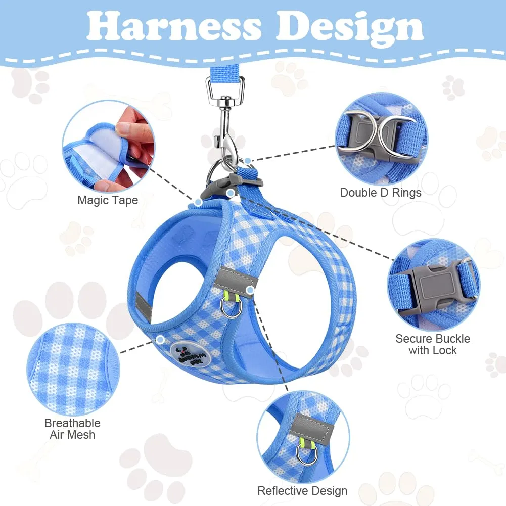 OFFCUP Set Pettorina e Guinzaglio Traspirante per Cani e Gatti, Taglia XS, Blu - immagine 3