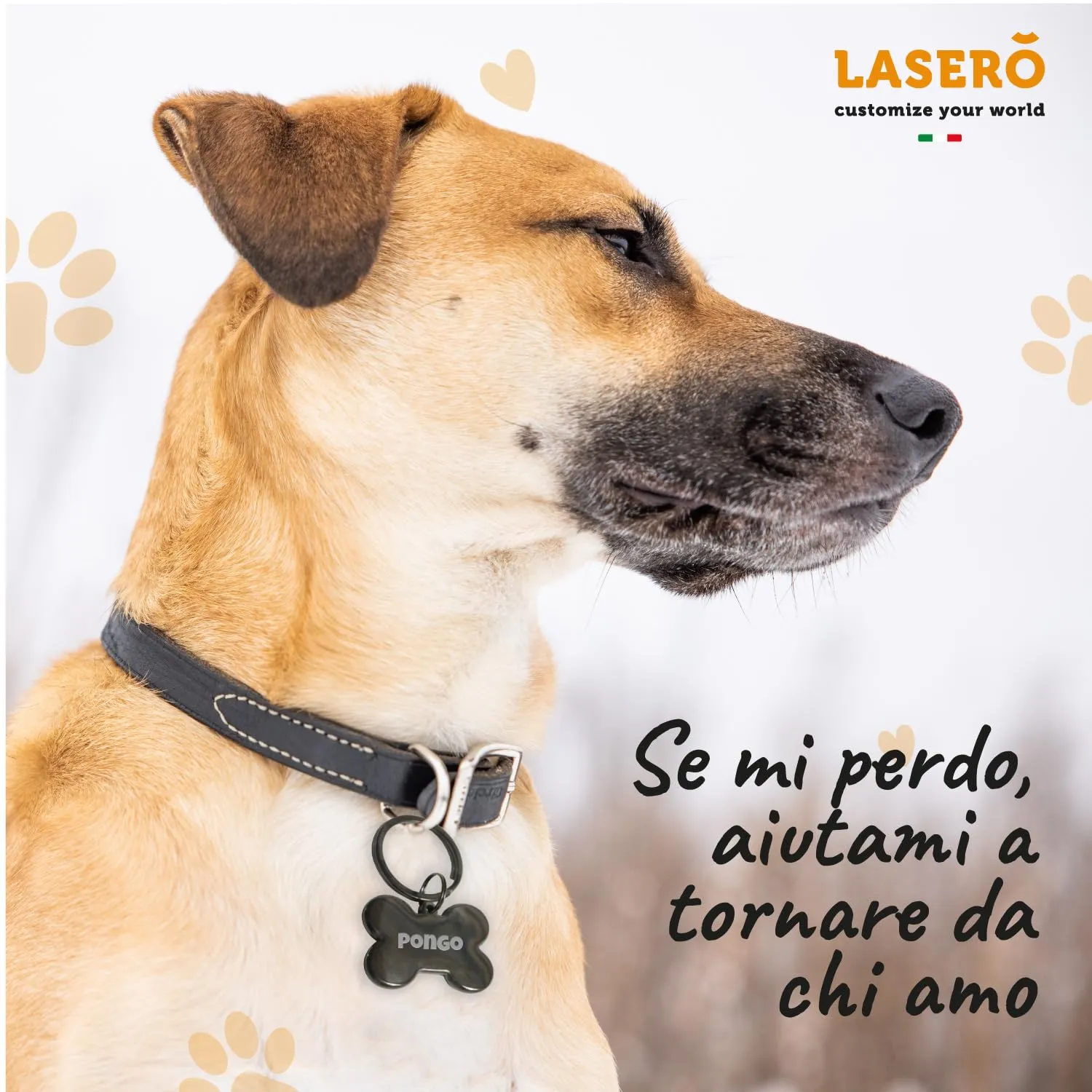 LASERO Medaglietta Cane Personalizzata a Forma di Osso Bombato in Acciaio 40×25 mm, 30g (Argento, Nero, Oro) - immagine 5