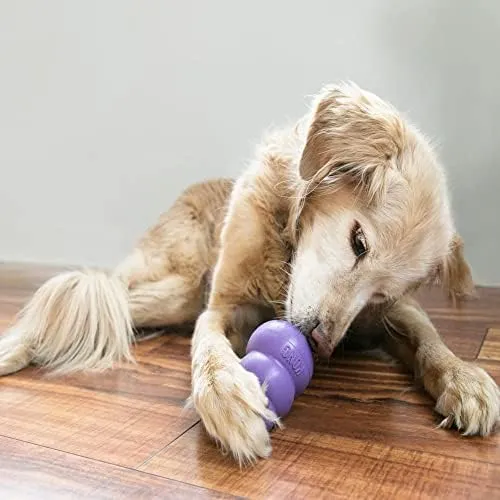 KONG Giocattolo in gomma naturale per cani anziani, taglia media (confezione da 2) - immagine 2
