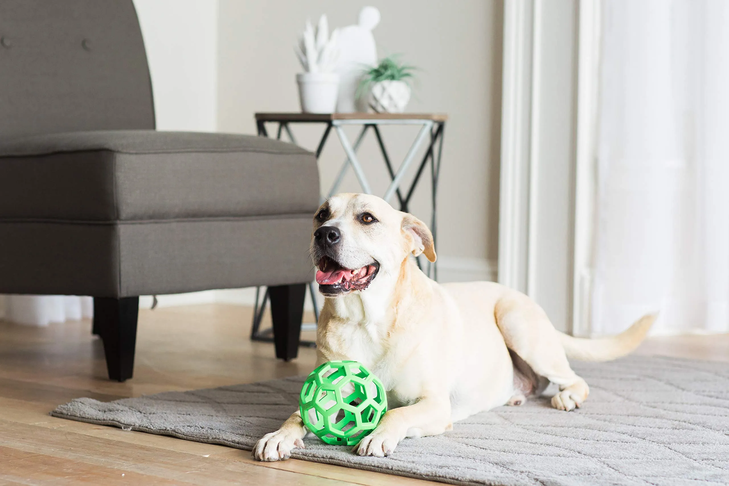 JW Pets Hol-ee Rullo JW43112, Large, Colori Assortiti - immagine 2