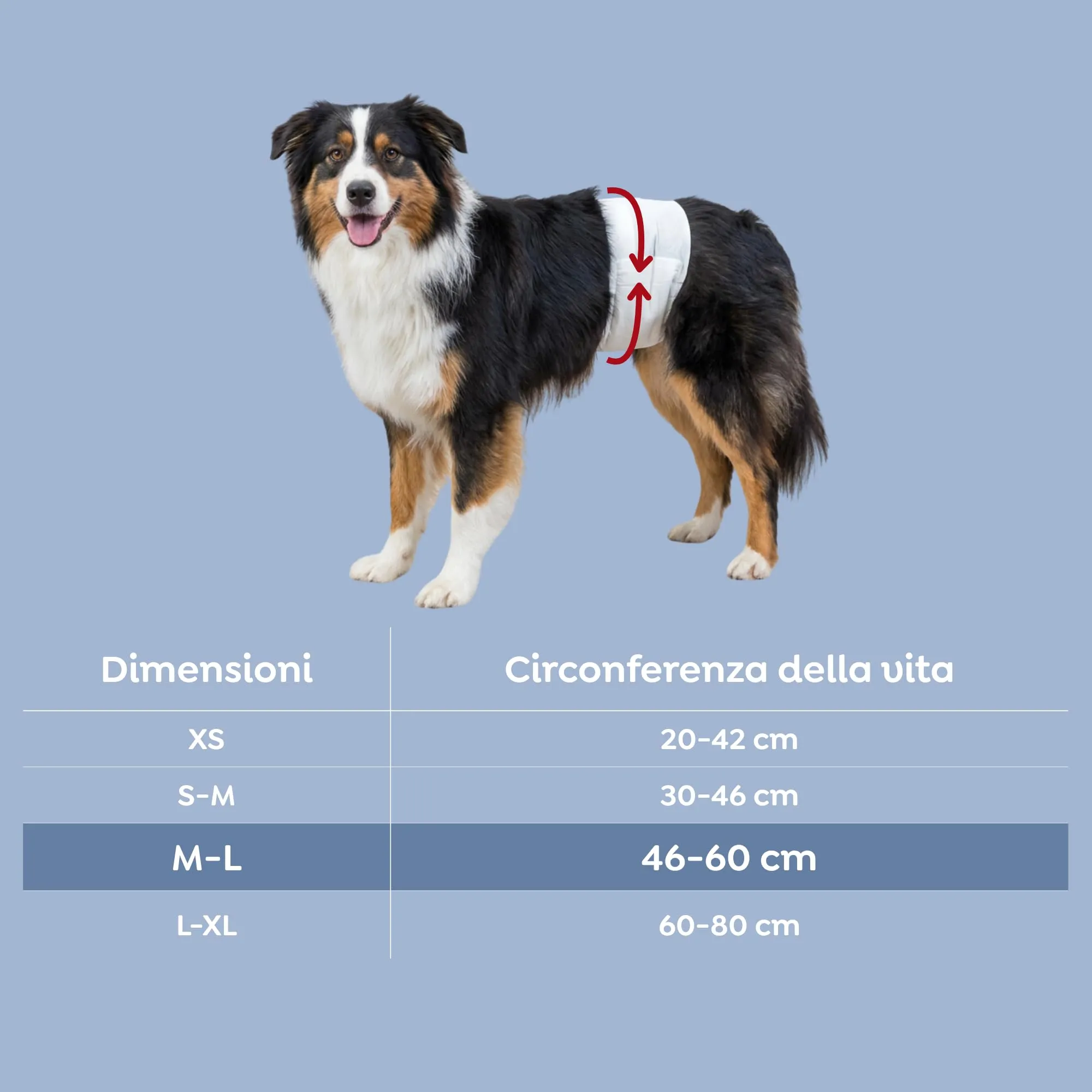TRIXIE Pannolini per cani maschi, M-L: 46-60 cm, 12 pz - immagine 3