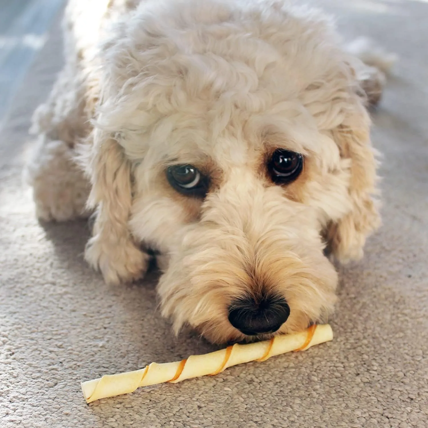 8in1 Pro Dental Twisted Sticks for Dogs - 35 Pezzi - immagine 6