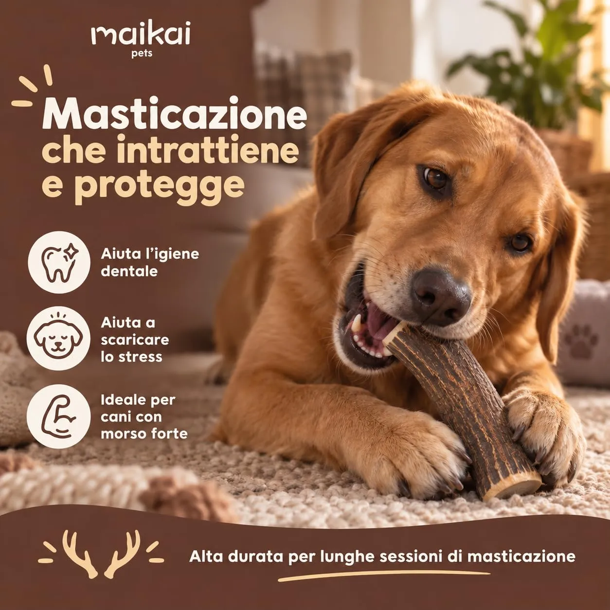 MAIKAI Corna di Cervo per Cani, Taglia S, 2 Pezzi - immagine 6