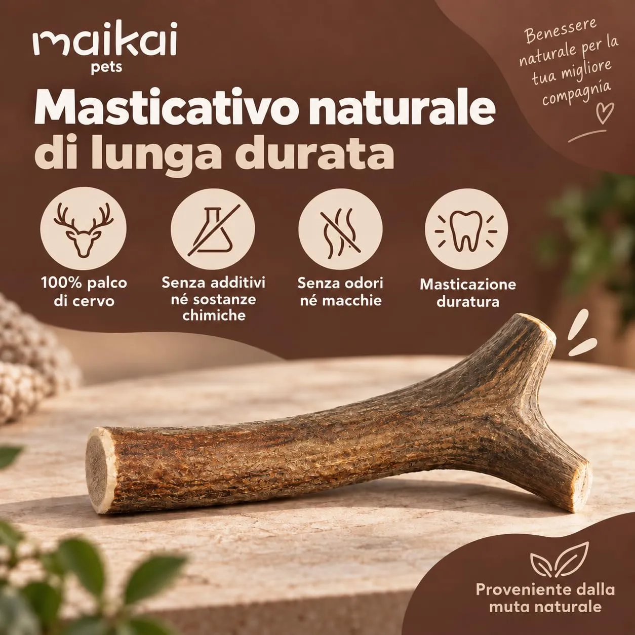 MAIKAI Corna di Cervo per Cani, Taglia L, 2 Pezzi - immagine 5