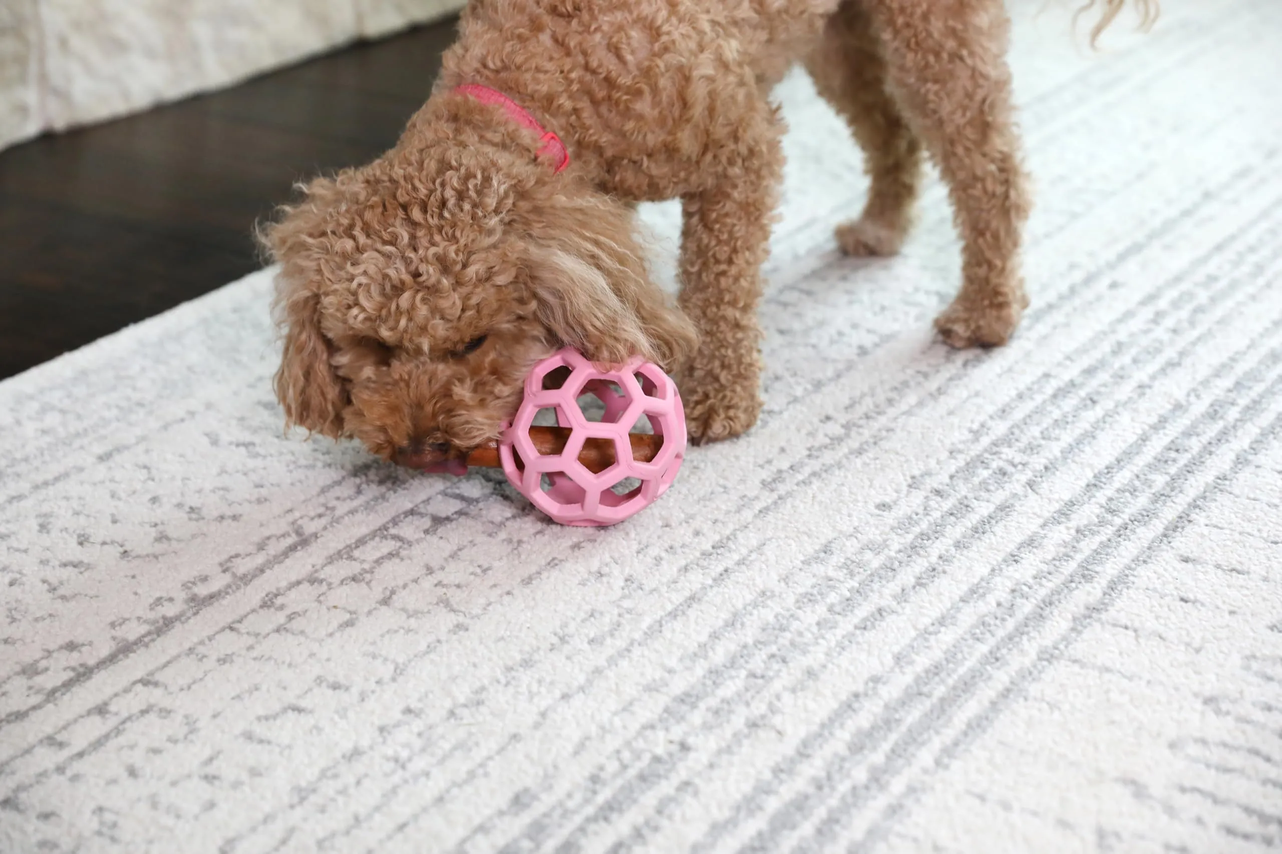 JW Hol-ee Roller Giocattolo per cani, Misura Media, 11,5 cm, Rosa - immagine 4