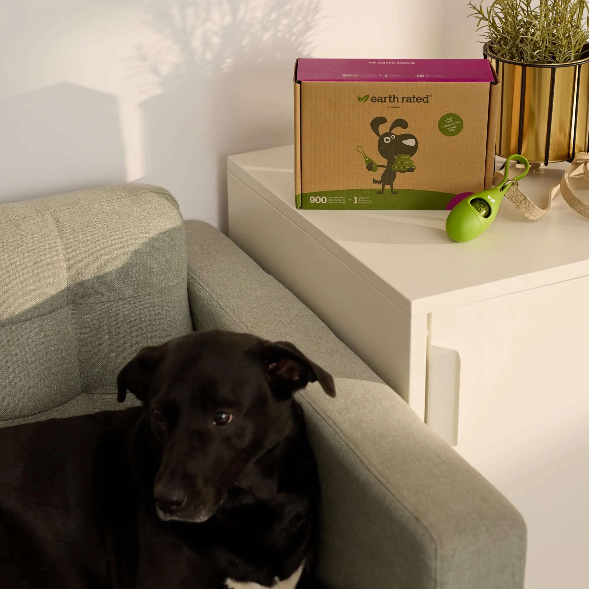 Earth Rated Dispenser e Sacchetti per Cani, Profumati alla Lavanda, 1 Dispenser e 900 Sacchetti - immagine 7