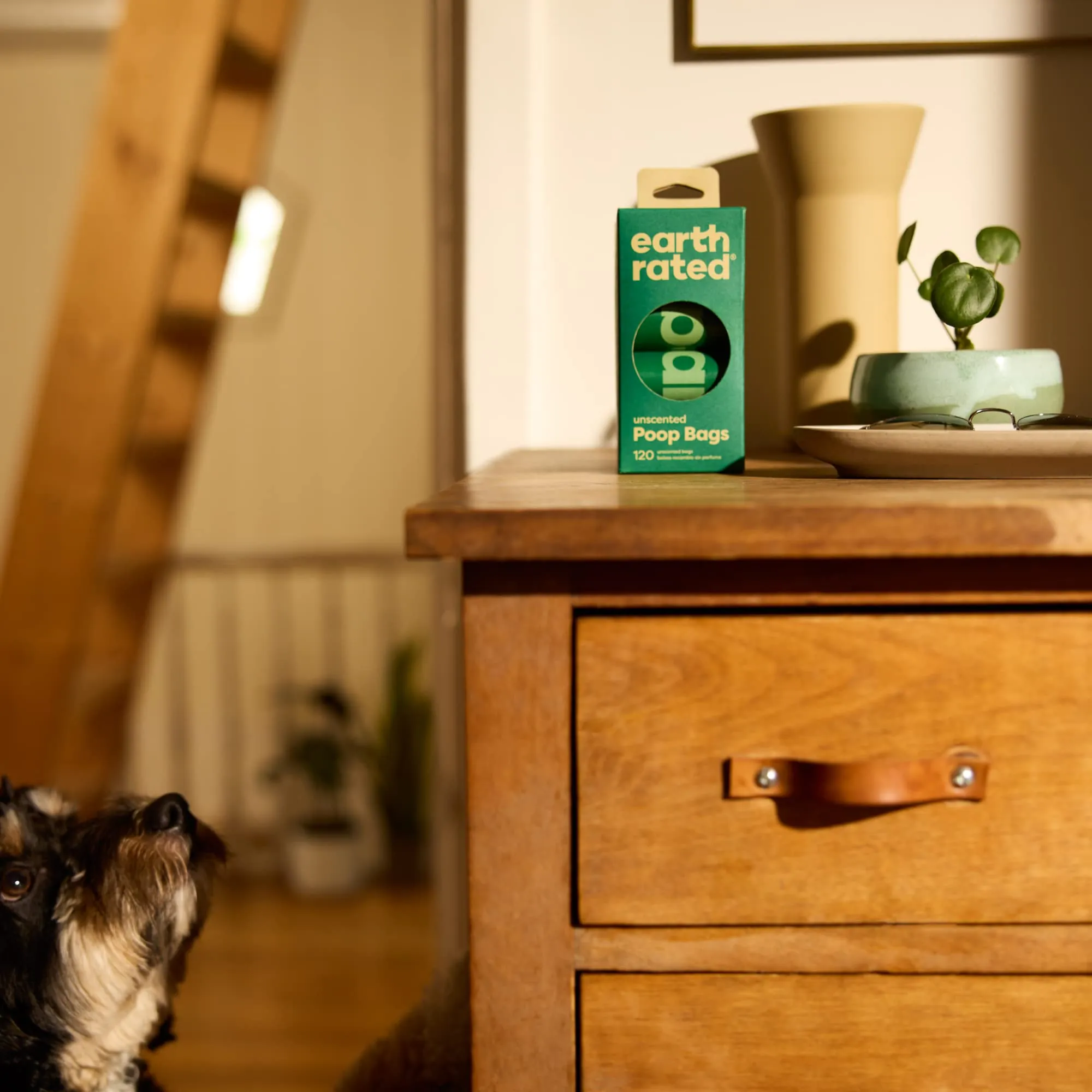 Earth Rated Sacchetti Igienici per Cani, Senza Profumo, 120 Pezzi - immagine 6