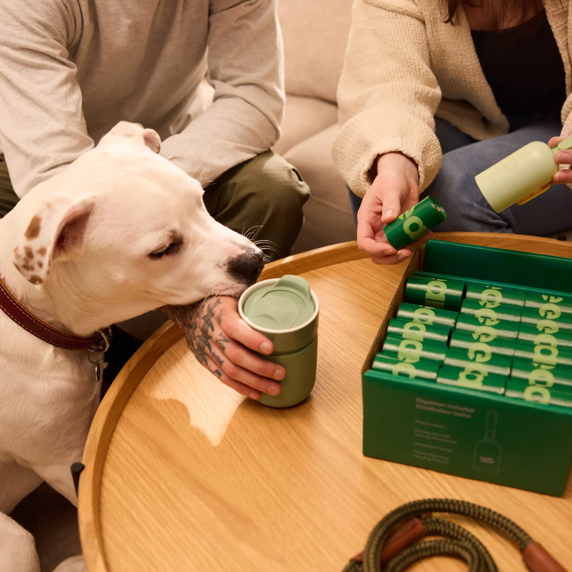 Earth Rated Dispenser per sacchetti igienici per cani, senza profumo, 1 dispenser e 900 sacchetti - immagine 6