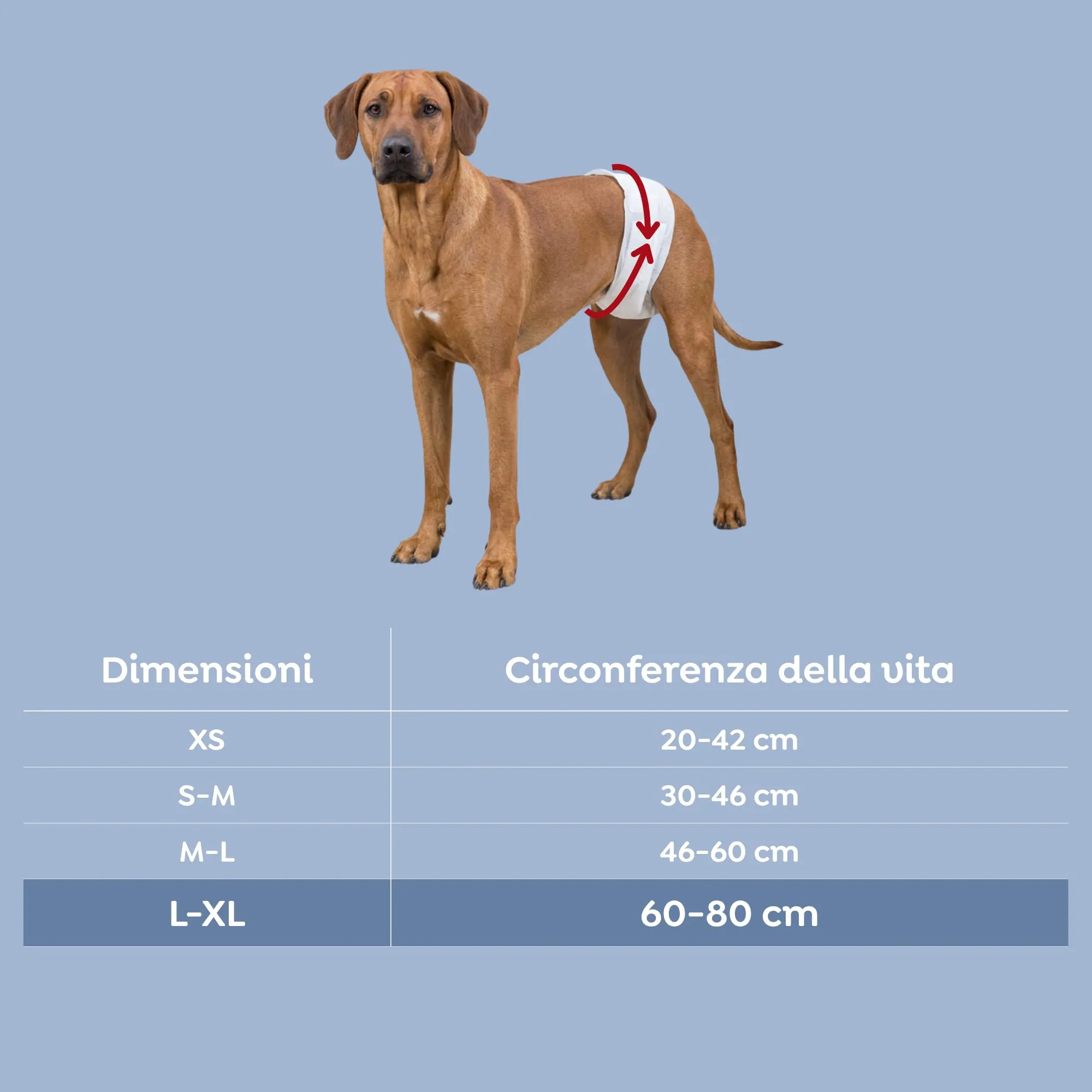 TRIXIE Pannolini per cani maschi, L-XL (60-80 cm), 12 pezzi - immagine 3