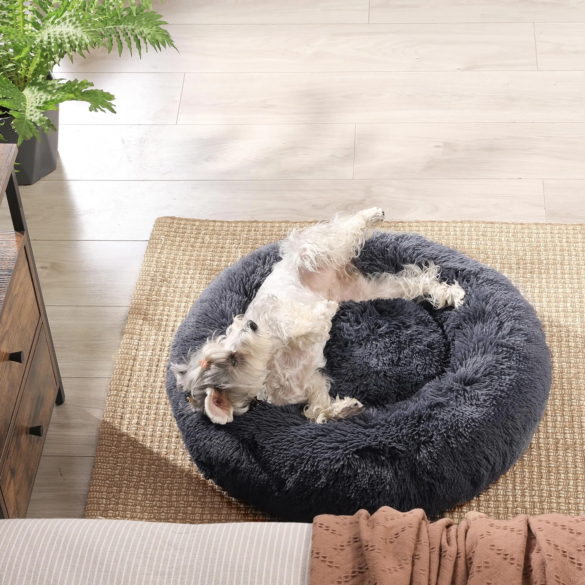 Feandrea Cuccia per Cani a Ciambella, Cuscino Sfoderabile e Lavabile, Diametro 70 cm, Grigio Scuro PGW039G02 - immagine 4