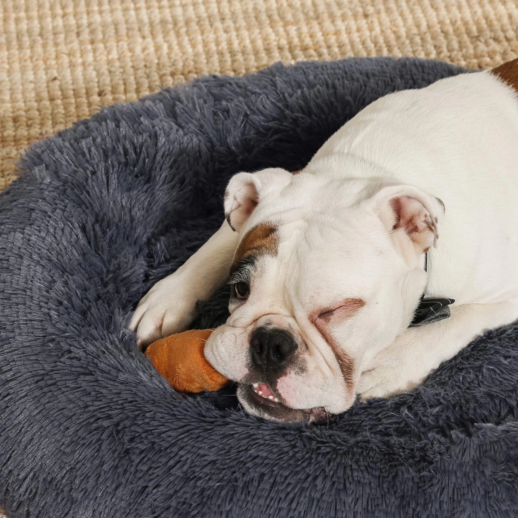 Feandrea Cuccia per Cani a Ciambella, Cuscino Sfoderabile e Lavabile, Diametro 80 cm, Grigio Scuro PGW040G02 - immagine 3