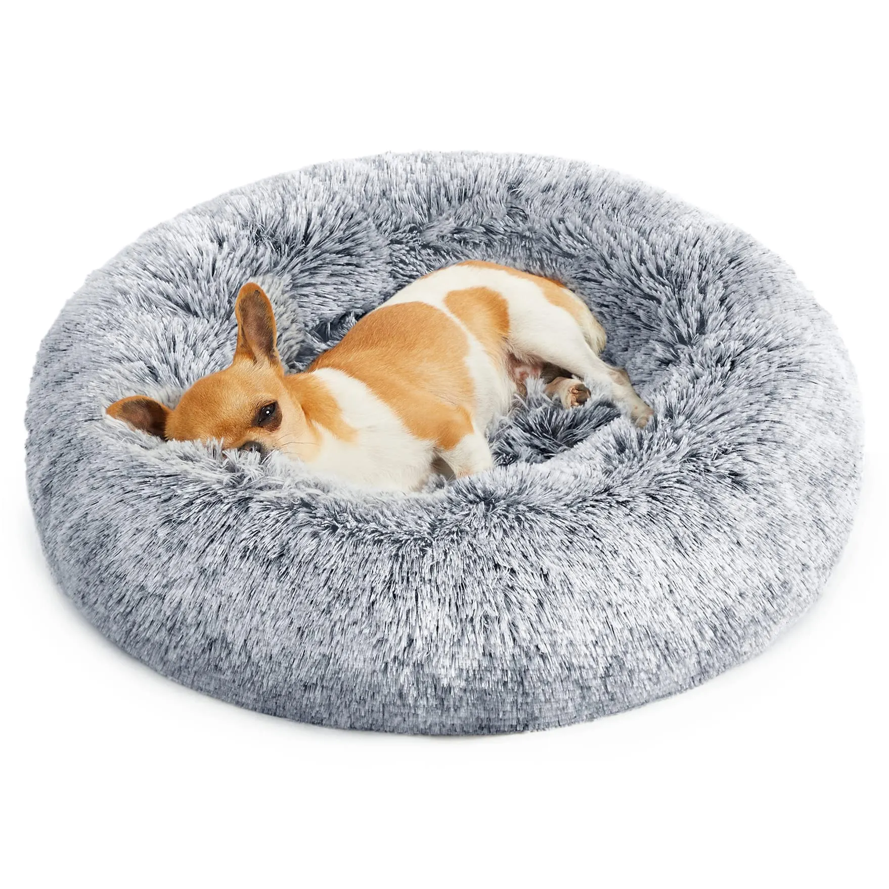 Feandrea Cuccia Cane a Ciambella, Cuscino Sfoderabile e Lavabile in Peluche, Diametro 50 cm, Grigio Ombré PGW037G01 - immagine 1