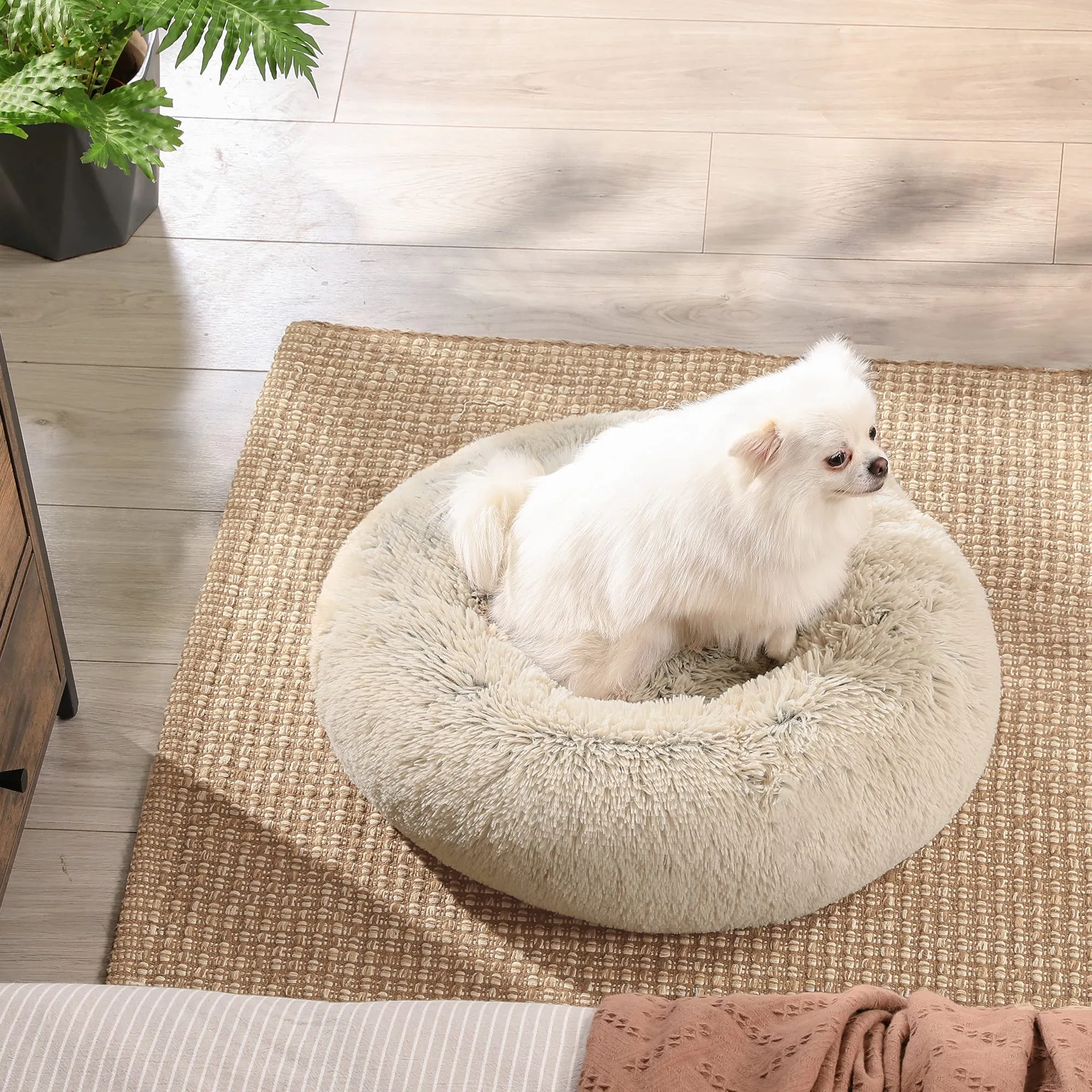 Feandrea Cuccia a Ciambella per Cani e Gatti, Cuscino Sfoderabile e Lavabile, Diametro 50 cm, Cachi Ombré PGW037S01 - immagine 9