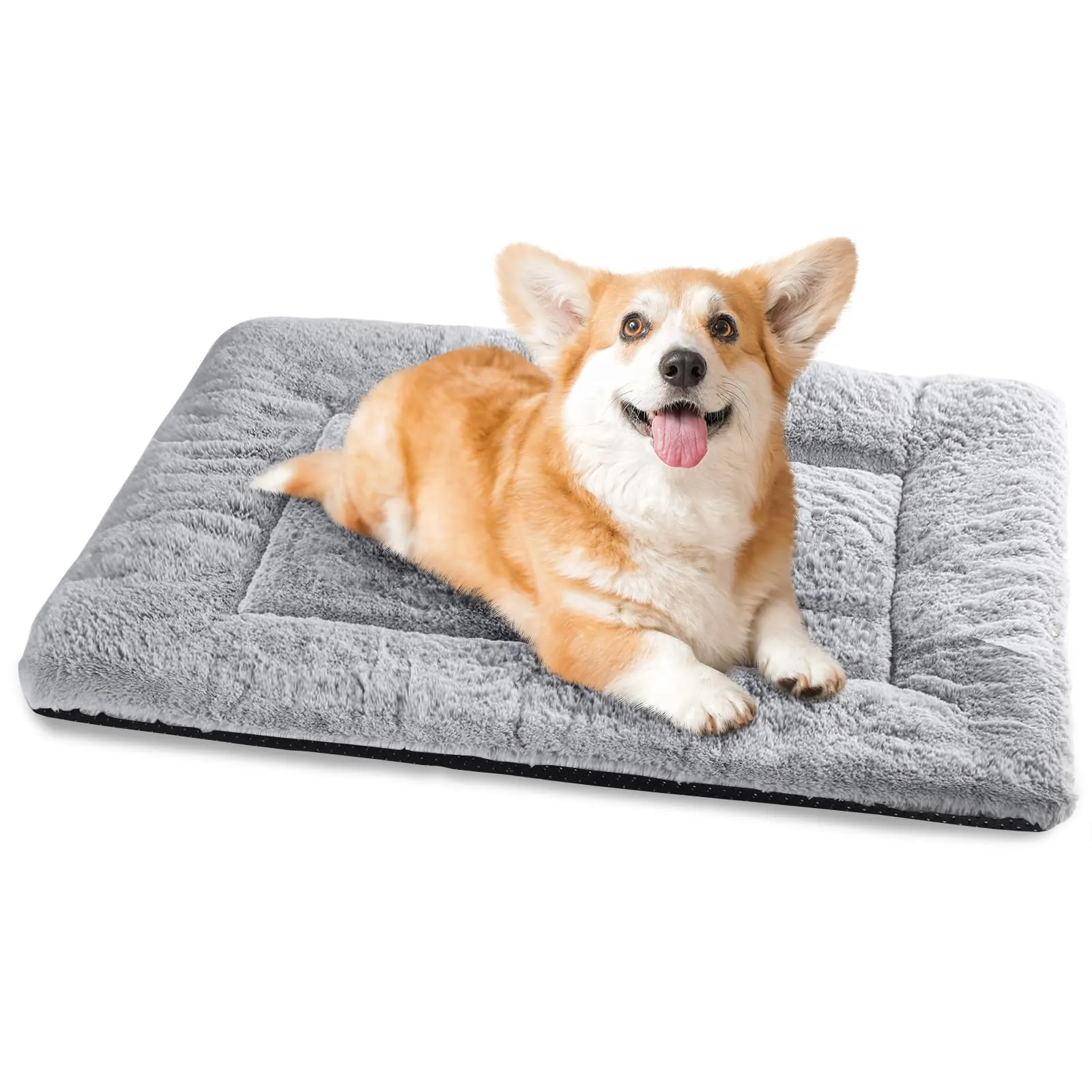 BaoDan Cuccia Cane Interno, Cuscino Lavabile, 75x50 cm - immagine 1