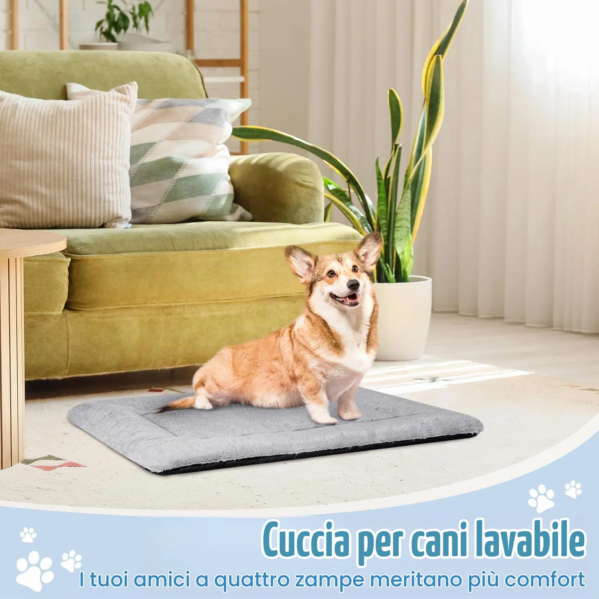 BaoDan Cuccia Cane Interno, Cuscino Lavabile, 75x50 cm - immagine 7