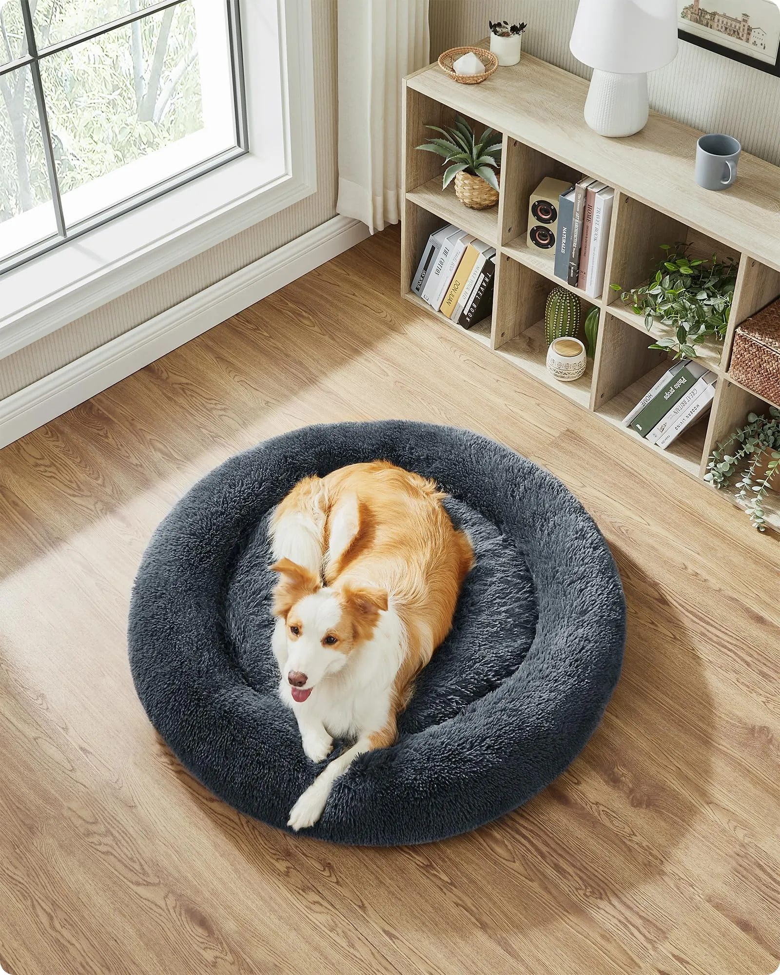 Feandrea Cuccia Cane a Ciambella, Grigio Scuro, 100 cm - immagine 3