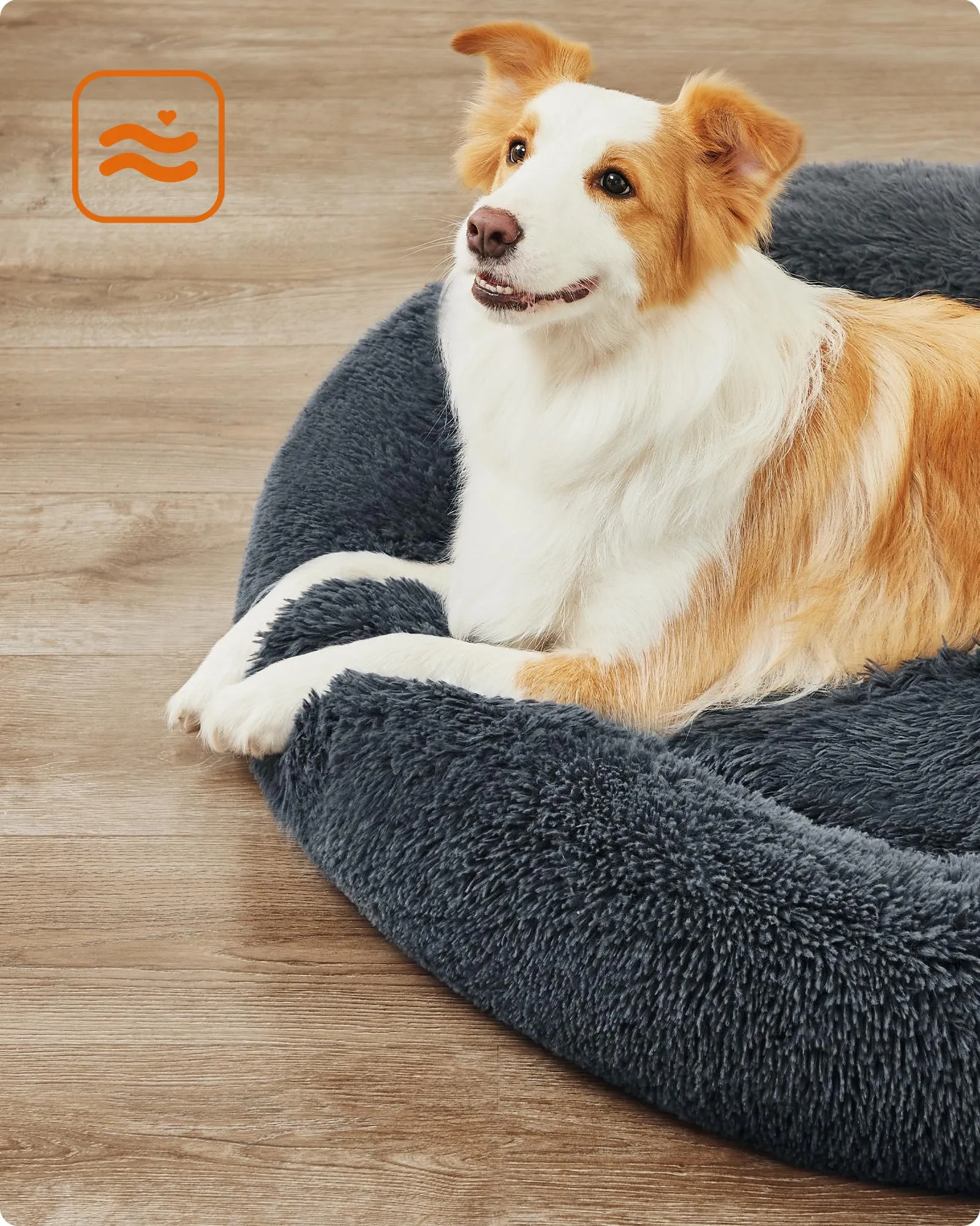 Feandrea Cuccia Cane a Ciambella, Grigio Scuro, 100 cm - immagine 5