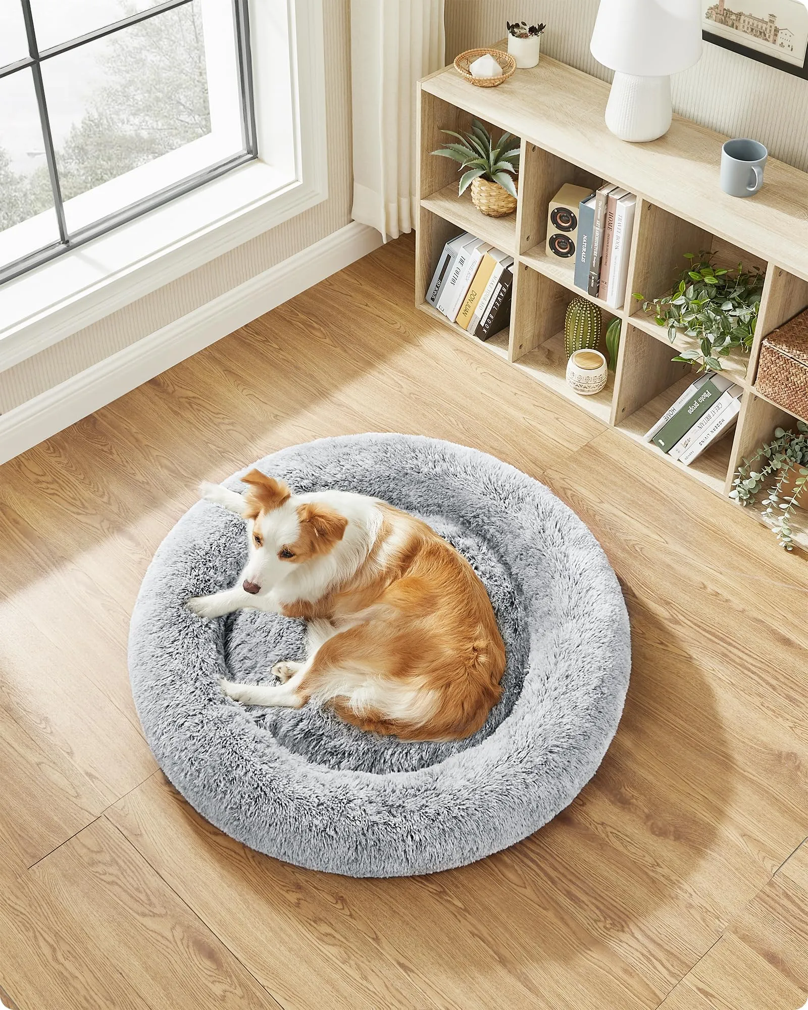Feandrea Cuccia Cane a Ciambella, Grigio Ombré, Diametro 100 cm - immagine 3