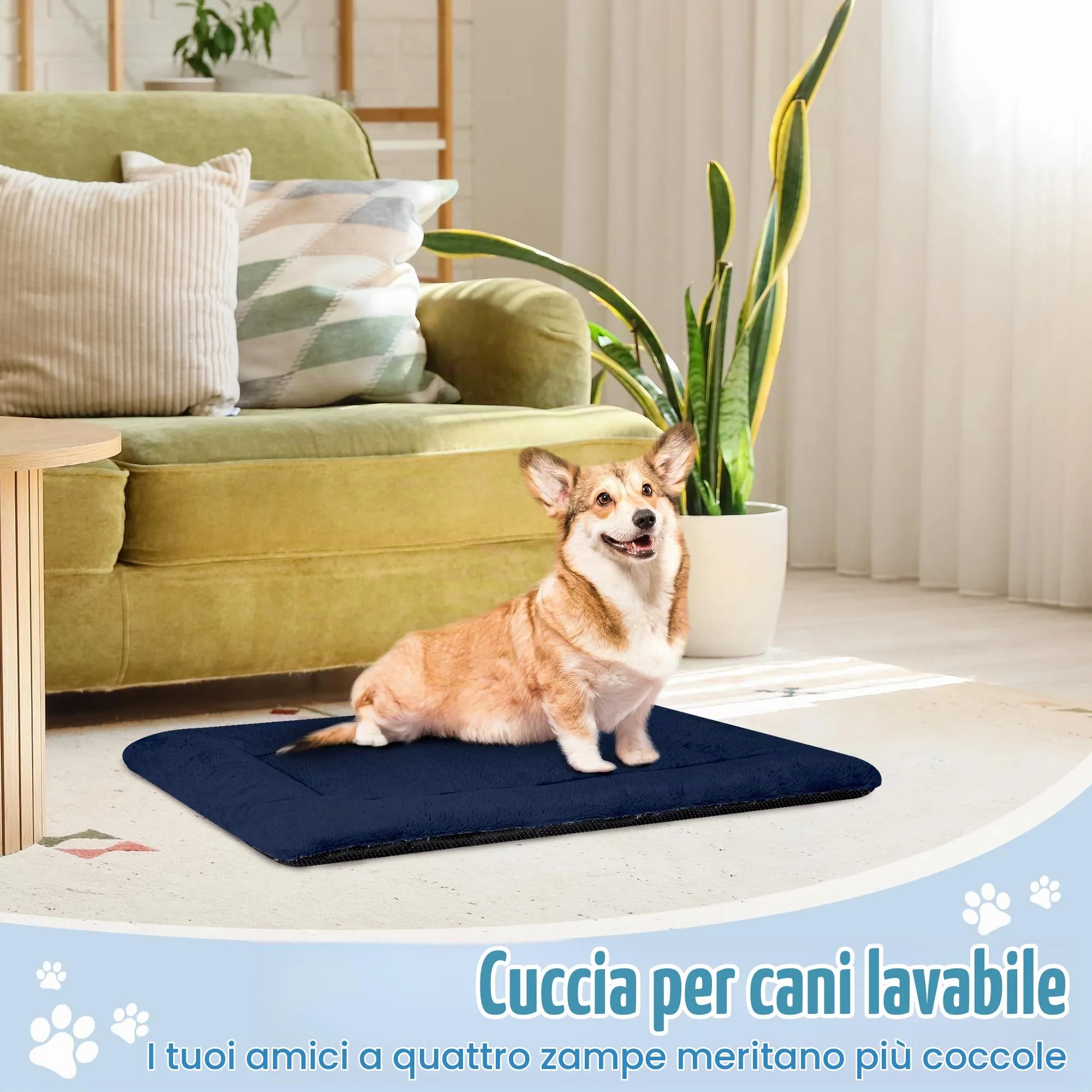 BaoDan Cuccia Cane Interno, Lavabile, 75x50 cm - immagine 6