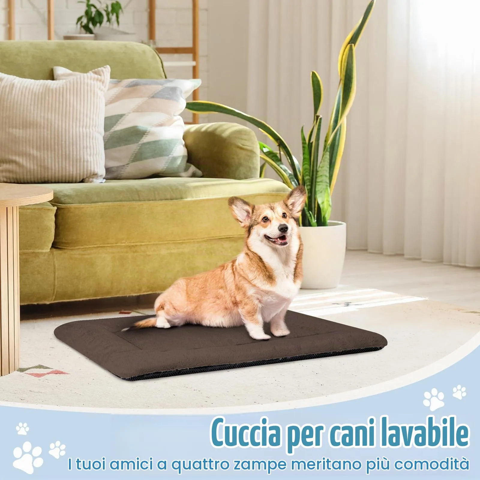 BaoDan Cuccia Cane Interno, 75x50 cm, Lavabile, Marrone - immagine 7
