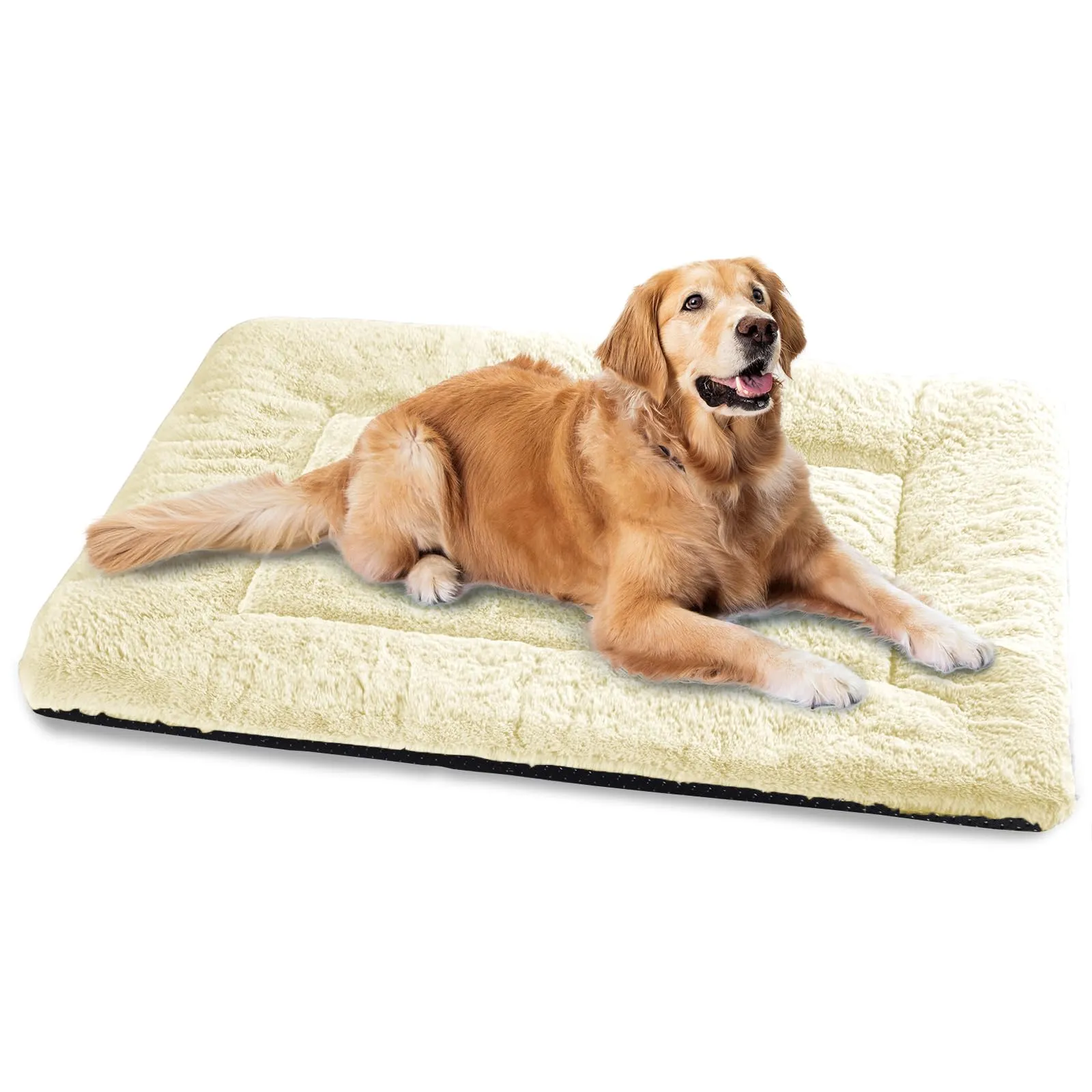 BaoDan Cuccia Cane Interno Taglia Grande, Cuscino 122x75 cm, Lavabile - immagine 1